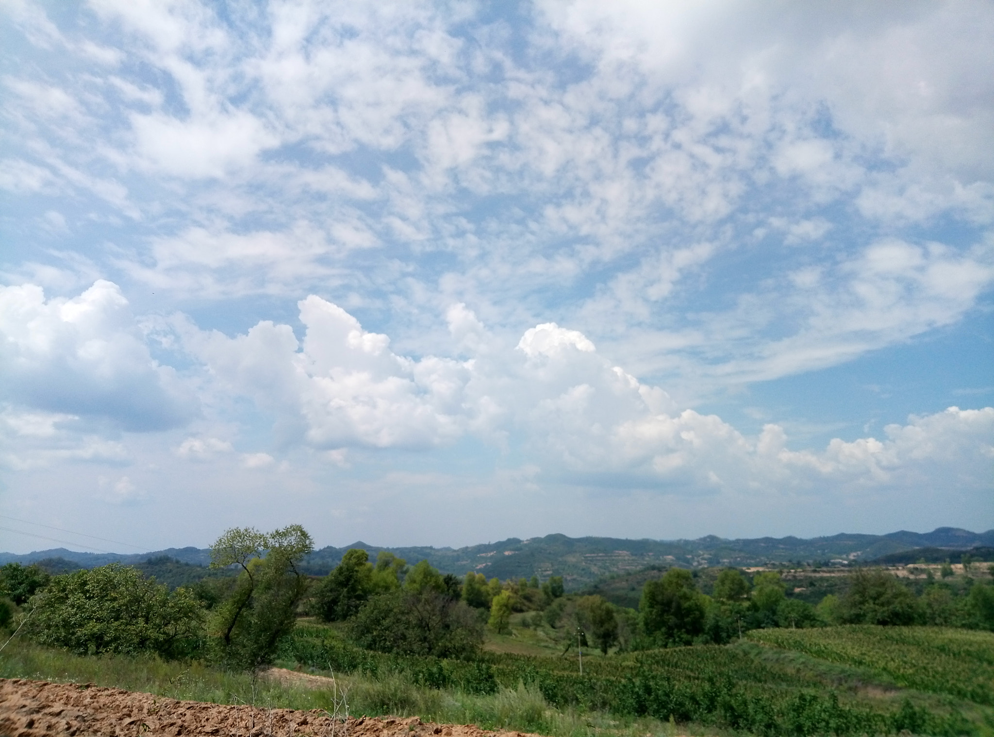 Meizu M1 E sample photo. 神望 photography