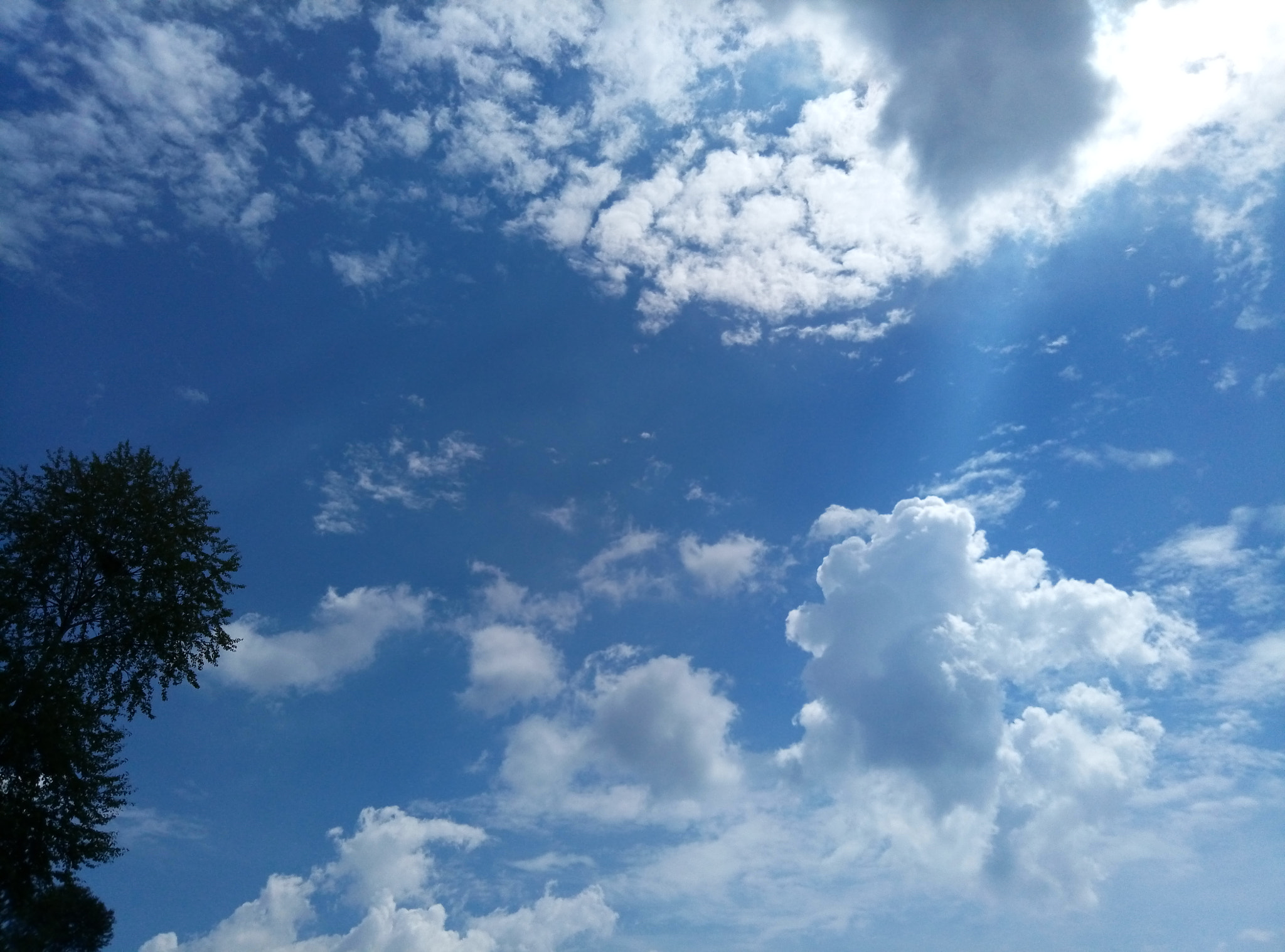 Meizu M1 E sample photo