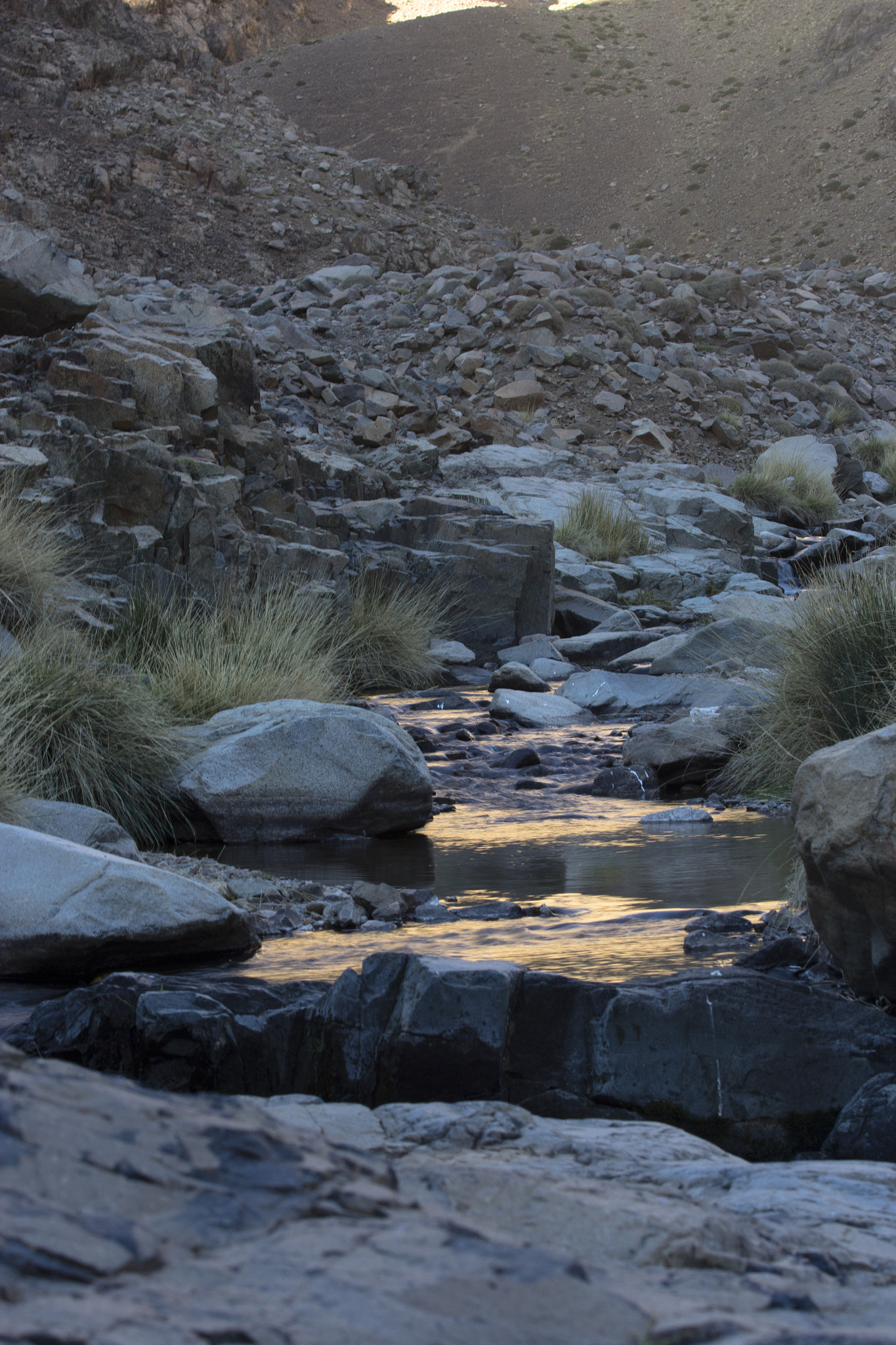 Canon EF 70-200mm F2.8L USM sample photo. Morocco photography