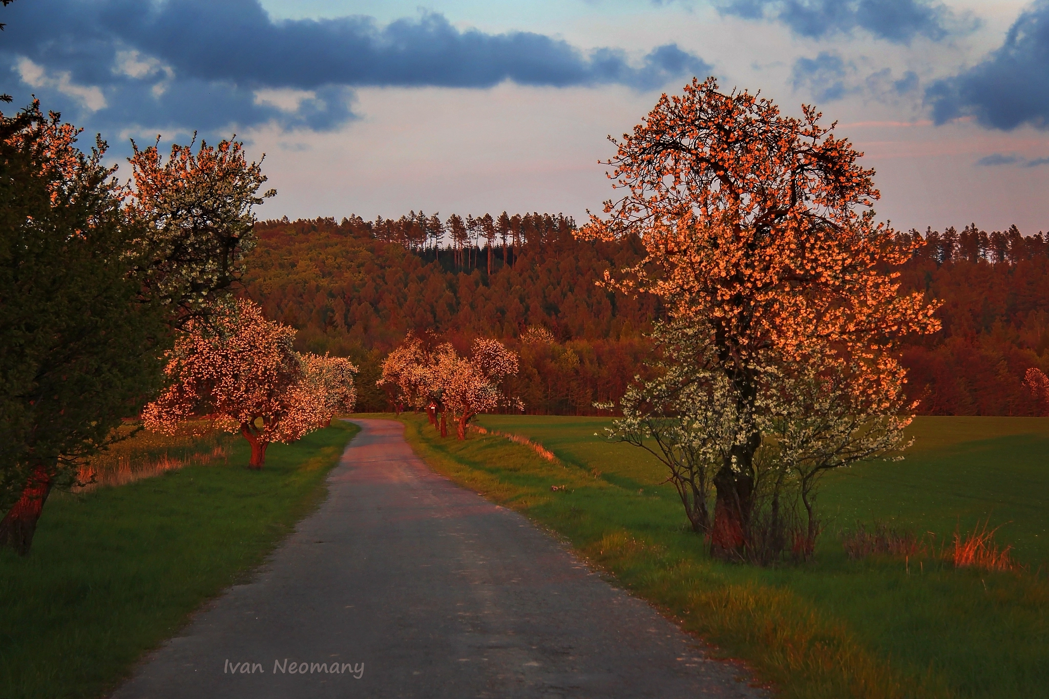 Canon EF-S 17-85mm F4-5.6 IS USM sample photo. Nature photography