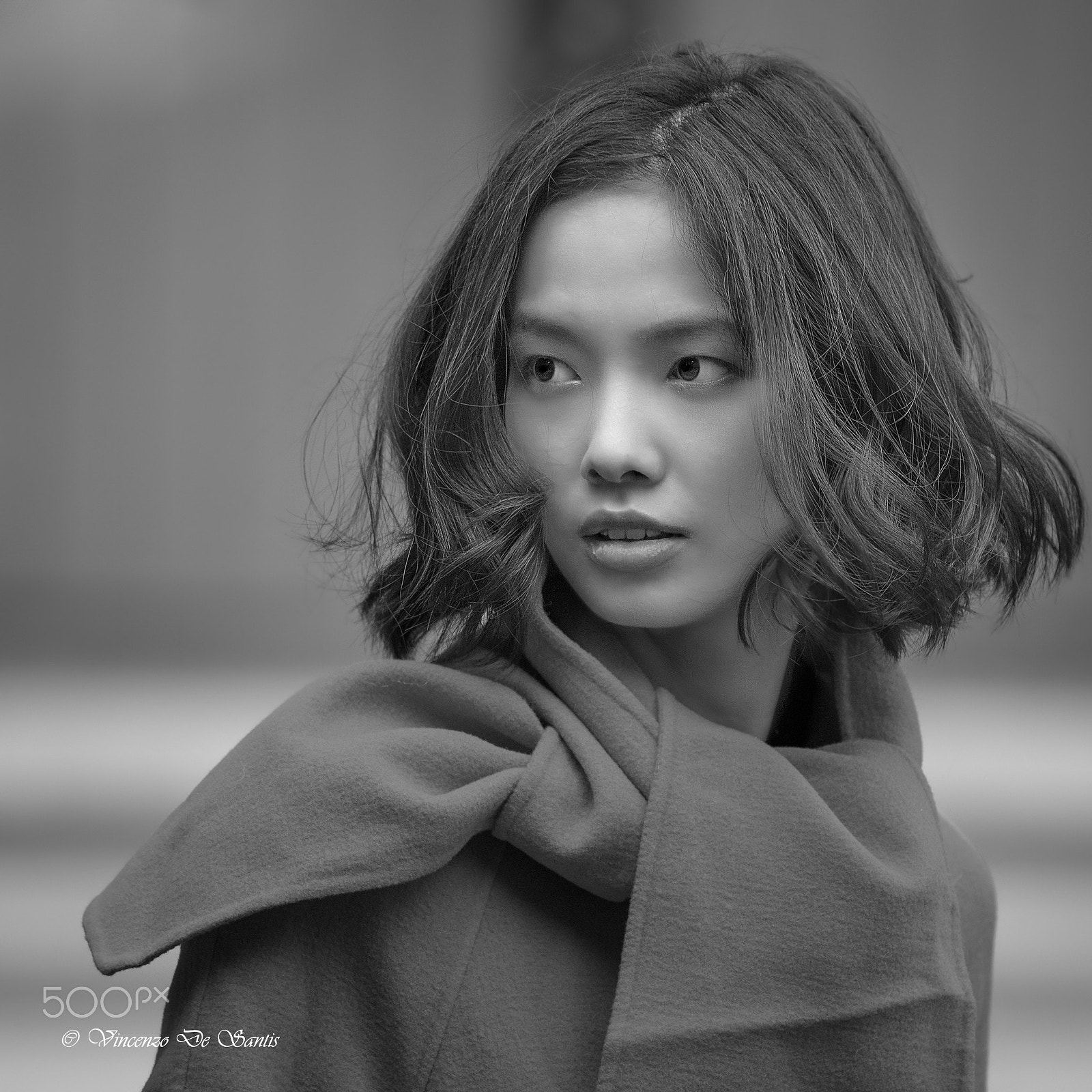 Nikon Nikkor AF-S 300mm F4E PF ED VR sample photo. Grace in gray photography