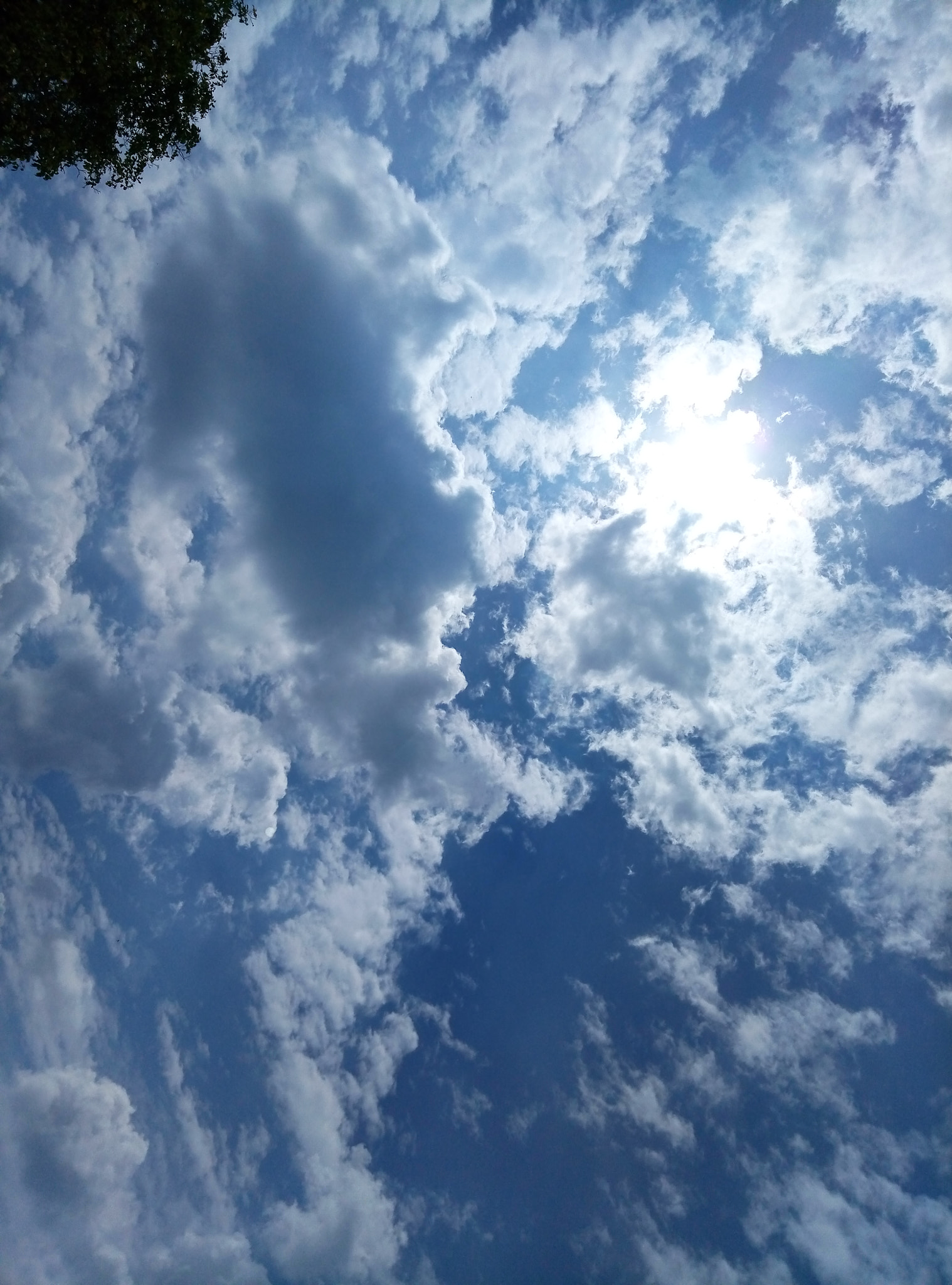 Meizu M1 E sample photo