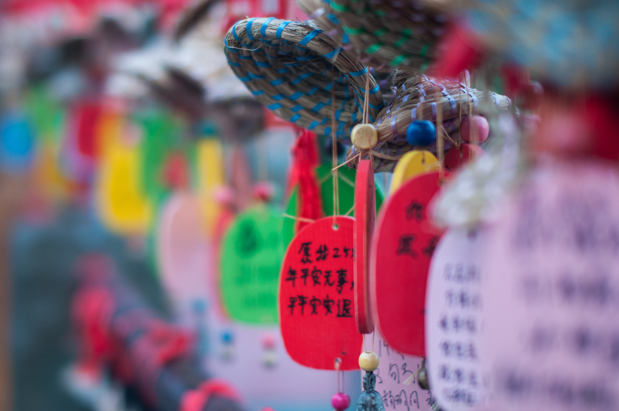 Sigma 50mm F1.4 EX DG HSM sample photo. Dream photography