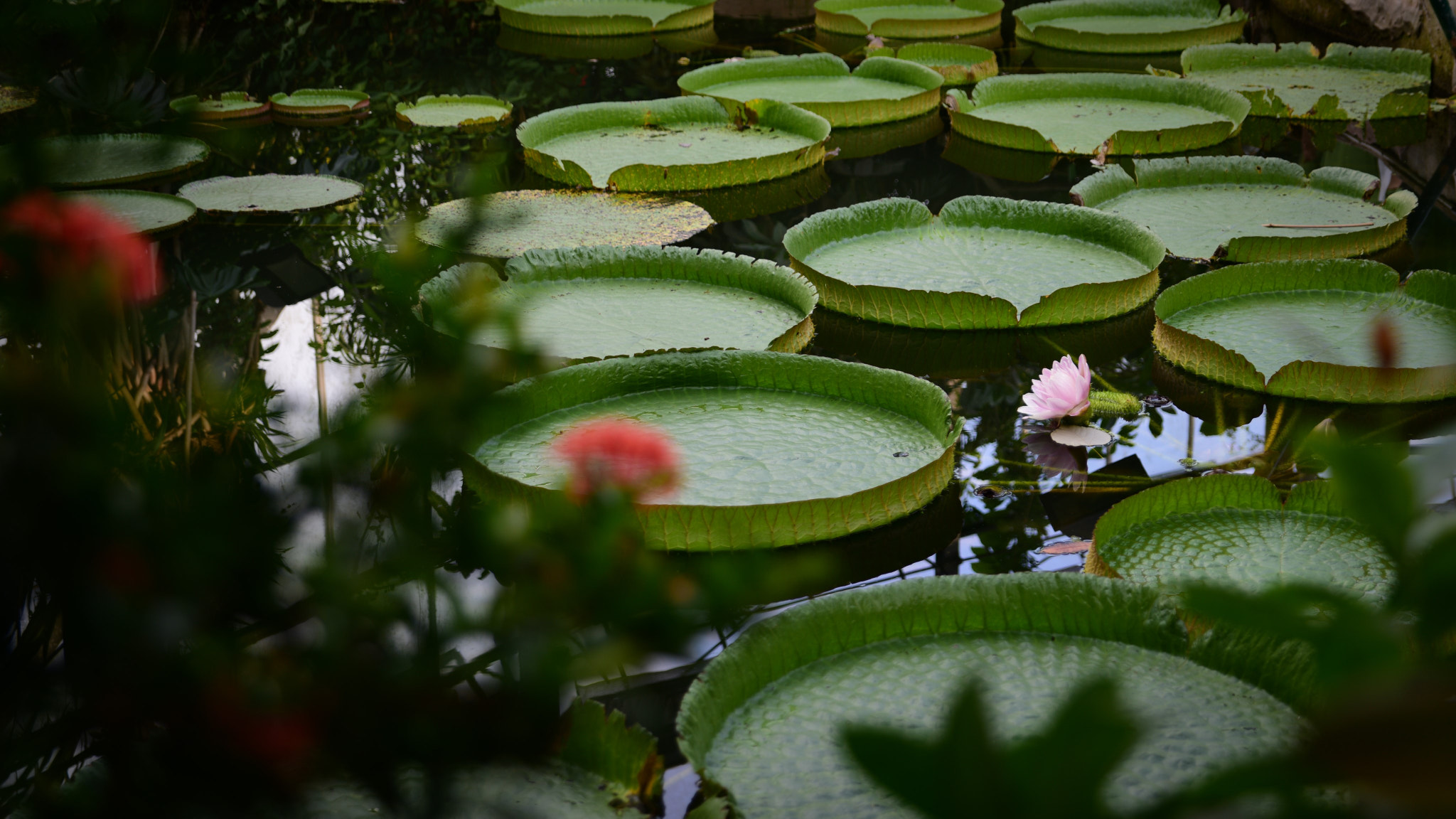 Sigma 24-70mm F2.8 EX DG HSM sample photo