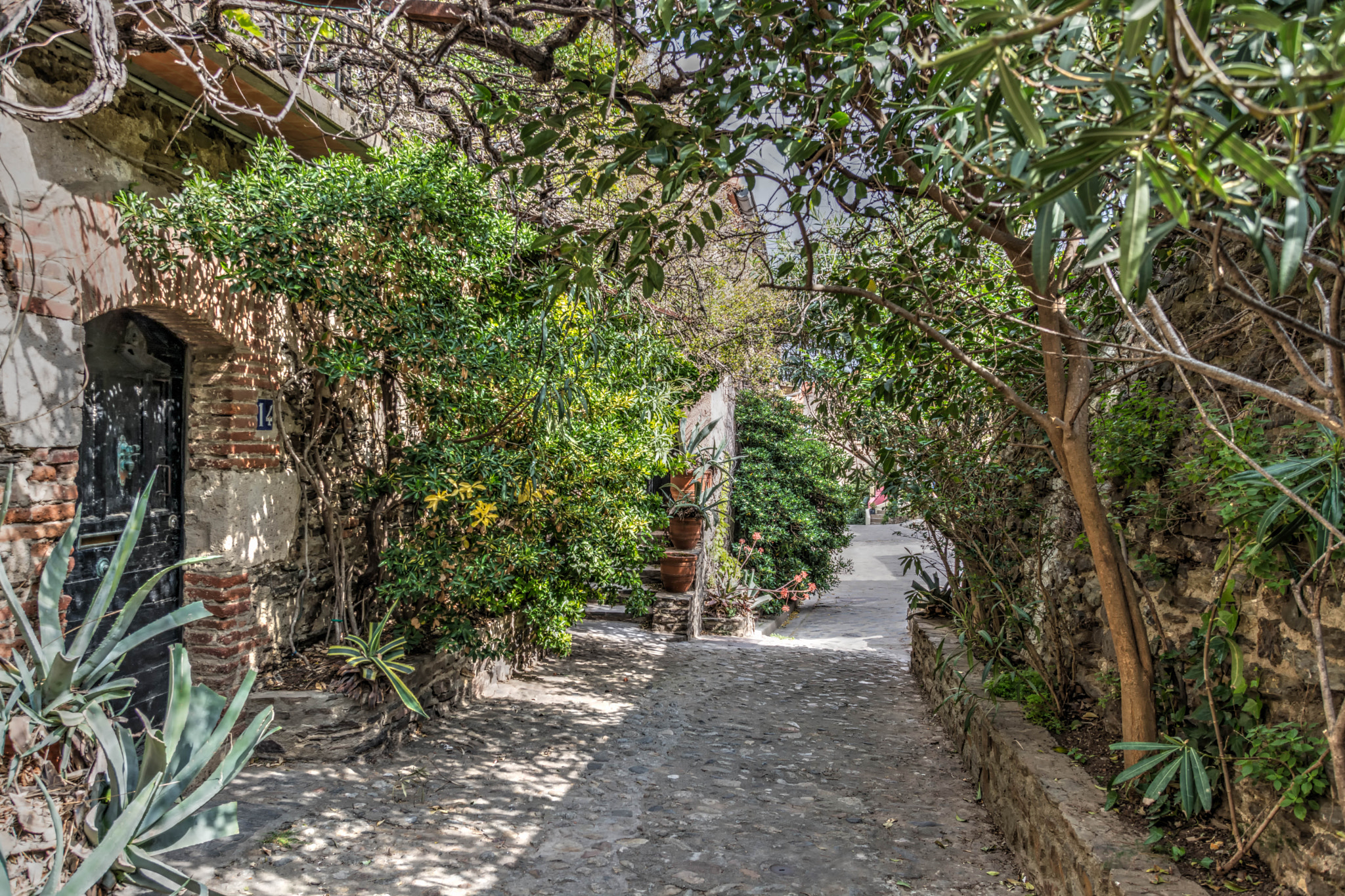 Nikon D7100 + Nikon PC-E Nikkor 24mm F3.5D ED Tilt-Shift sample photo. Colliure rincones photography