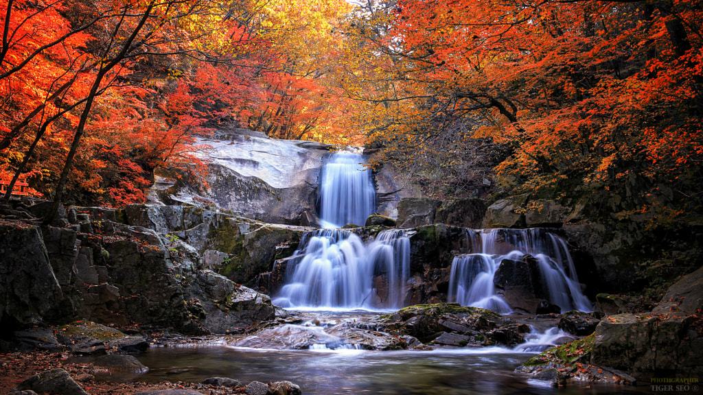 waterfall in autumn by Tiger Seo on 500px.com