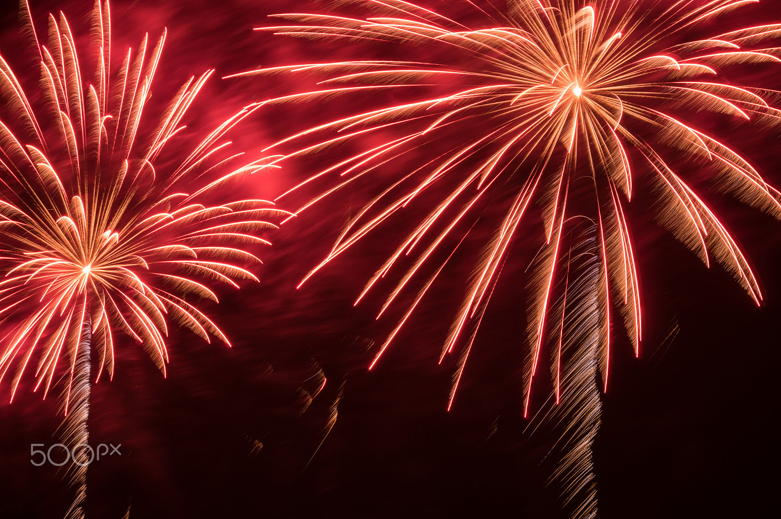 Pentax K-3 sample photo. Red firework palm trees photography