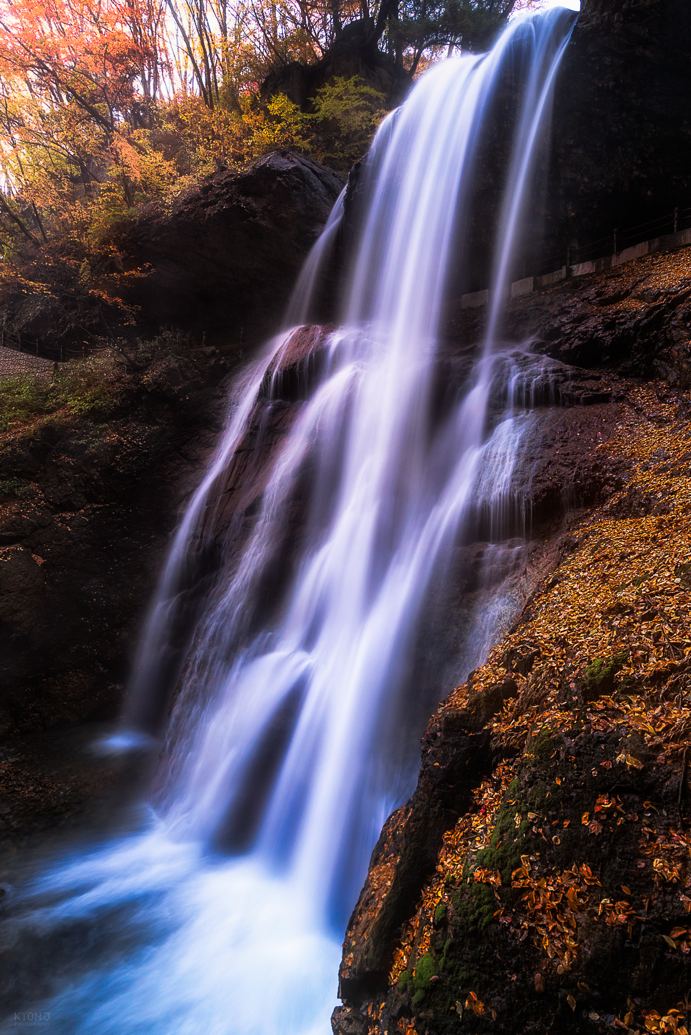 Sony a7S + Sony Vario-Tessar T* FE 16-35mm F4 ZA OSS sample photo. Last fall photography