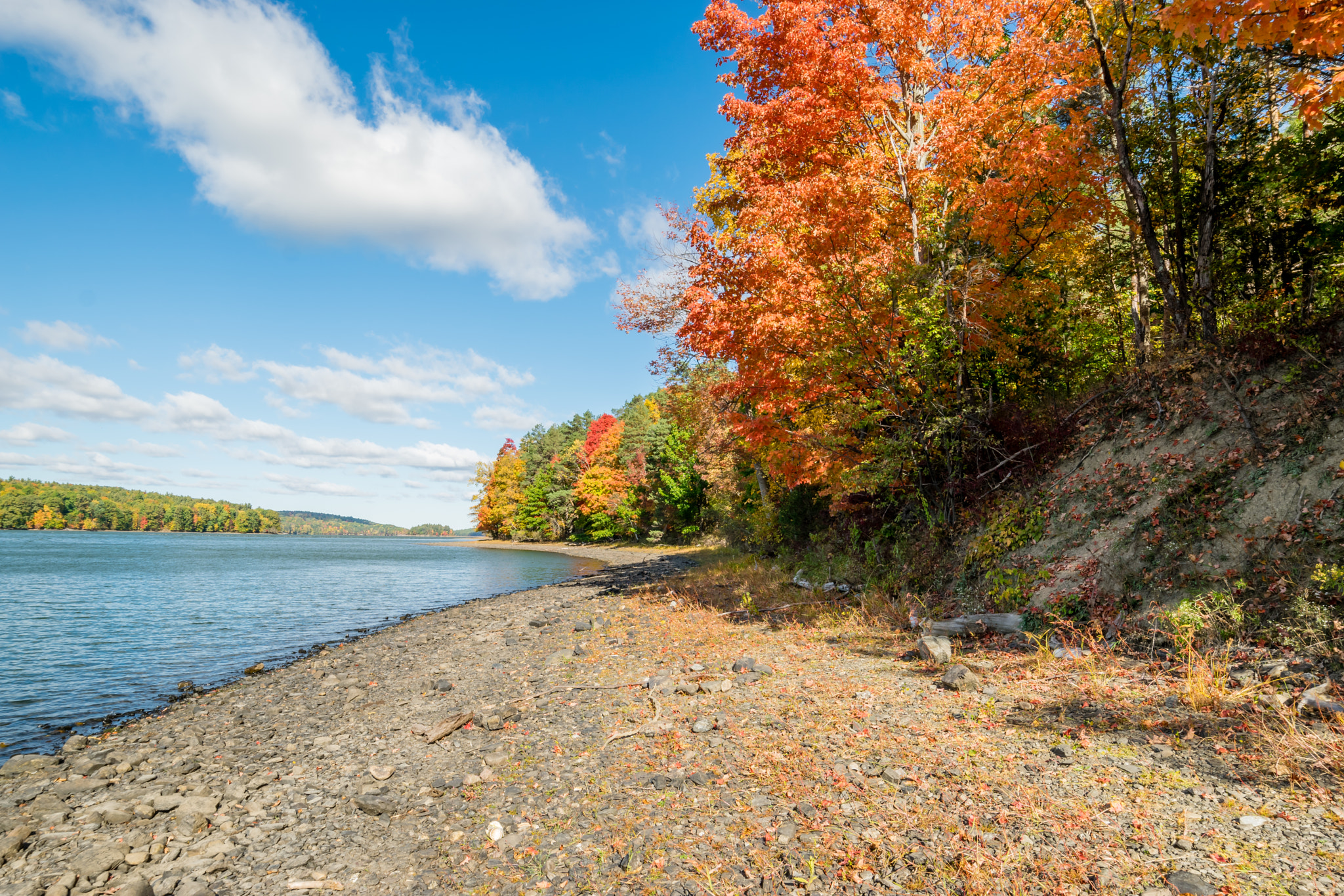 Samyang 14mm F2.8 ED AS IF UMC sample photo. Autumn photography