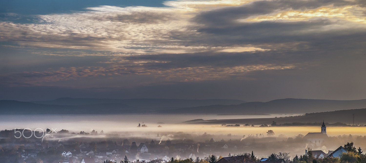 Sony Alpha DSLR-A900 sample photo. Swimming in the fog photography