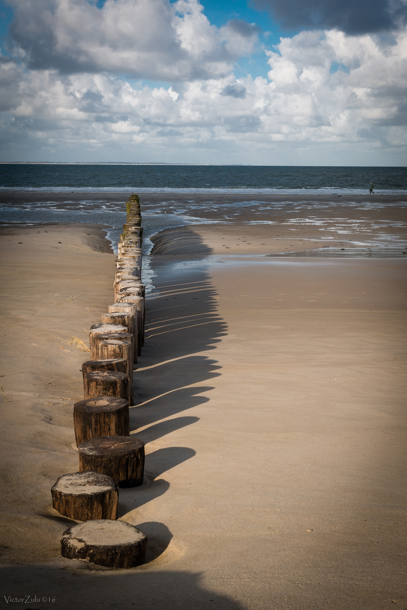 Canon EF 35mm F2 IS USM sample photo. Zeeland pole ii photography