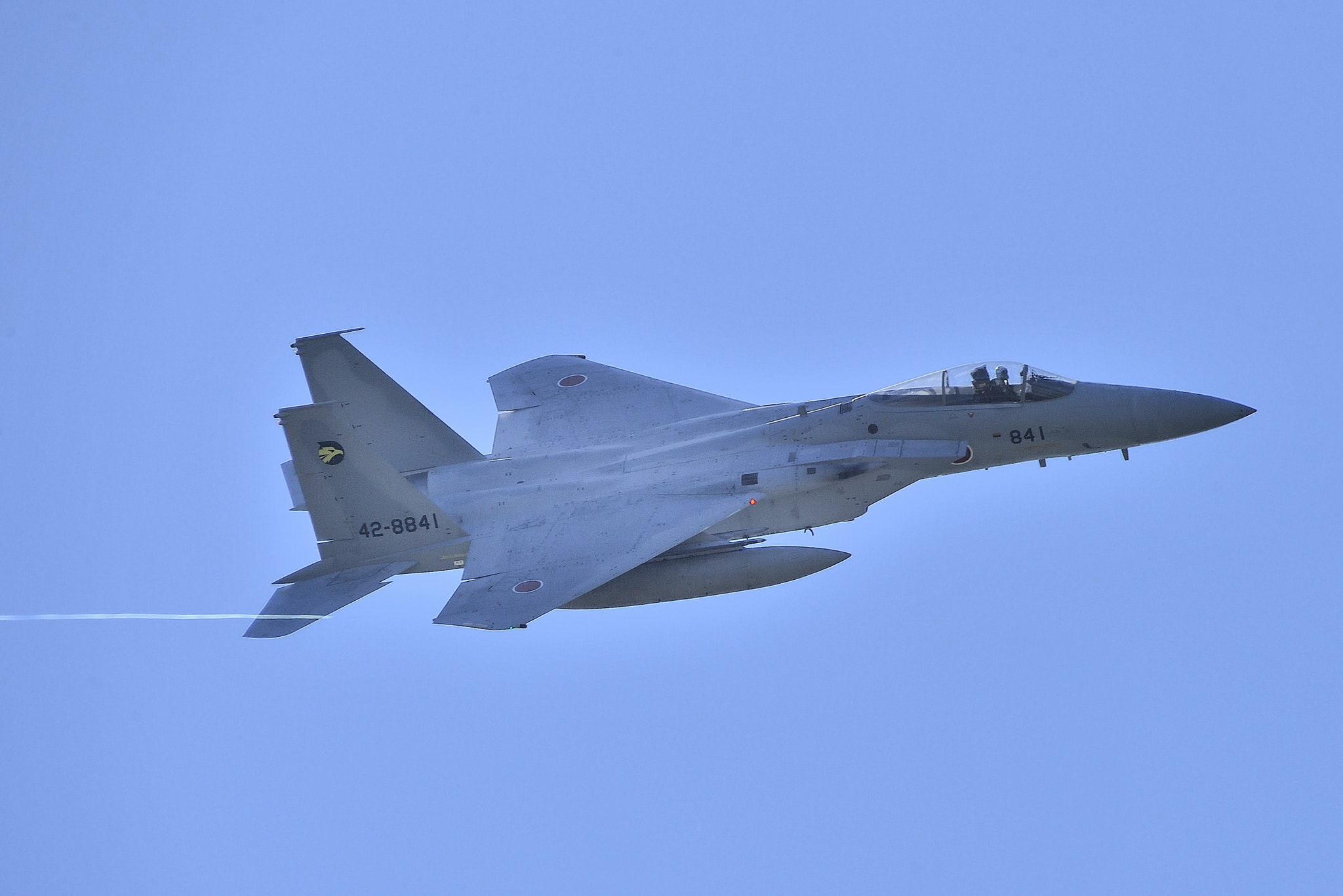 Nikon AF-S Nikkor 200-500mm F5.6E ED VR sample photo. F-15j photography