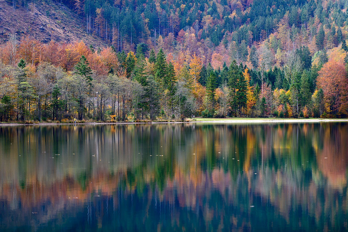 Nikon D800E sample photo. "color therapy" photography