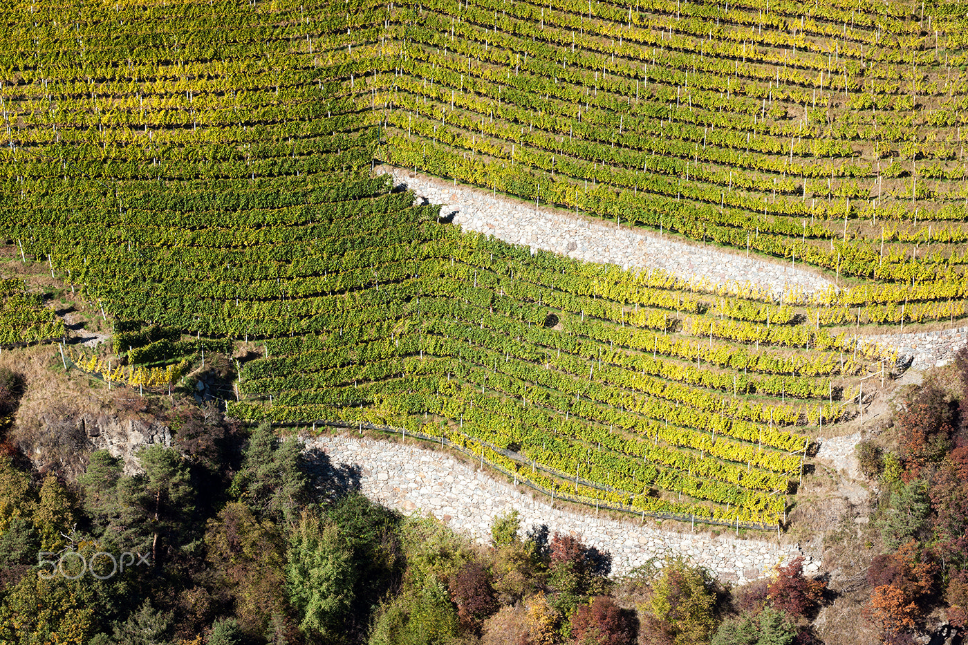 Minolta/Sony AF 70-200mm F2.8 G sample photo. Mountain vineyards photography