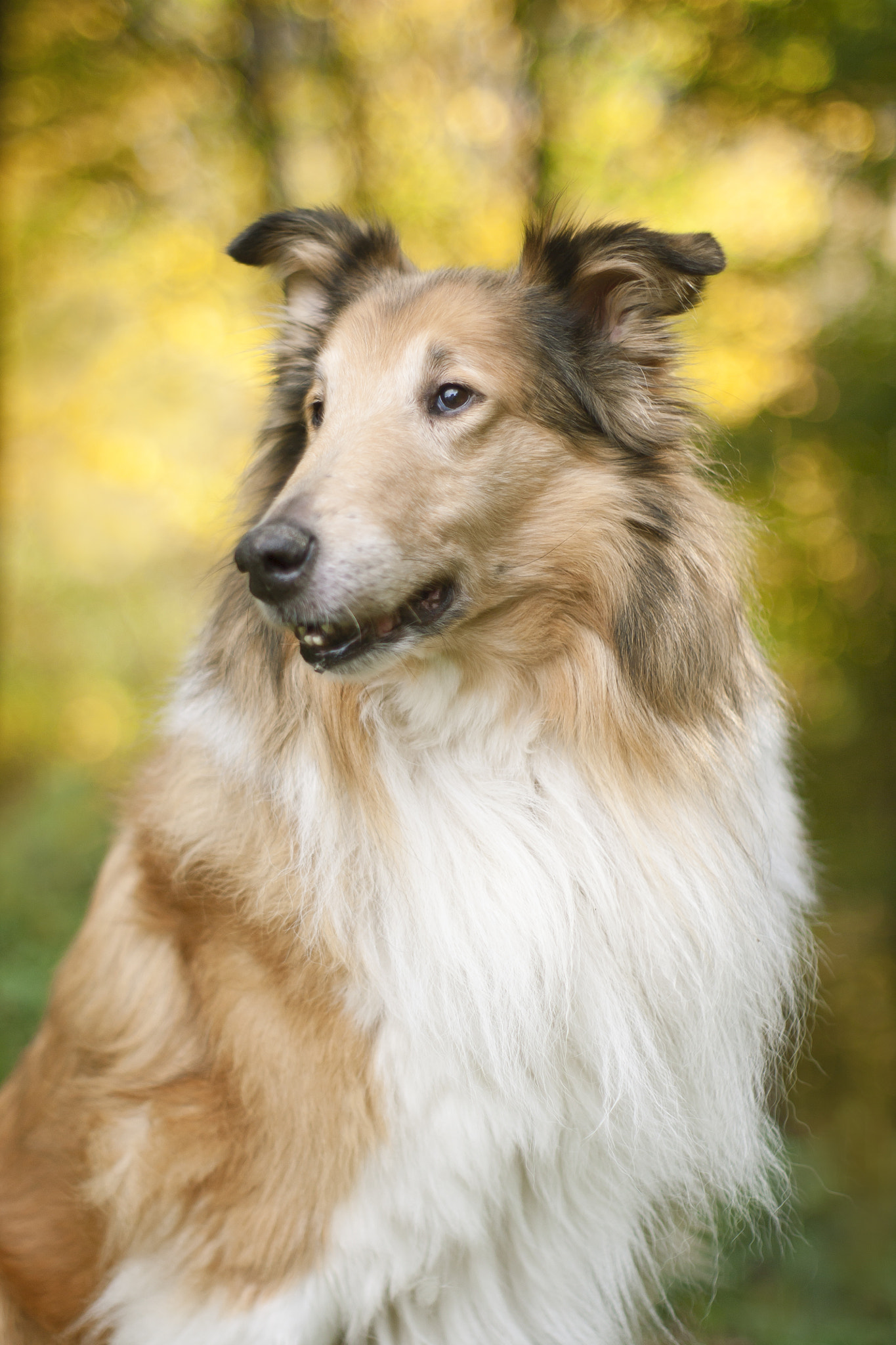 Canon EF 35-80mm f/4-5.6 sample photo. Mutek photography