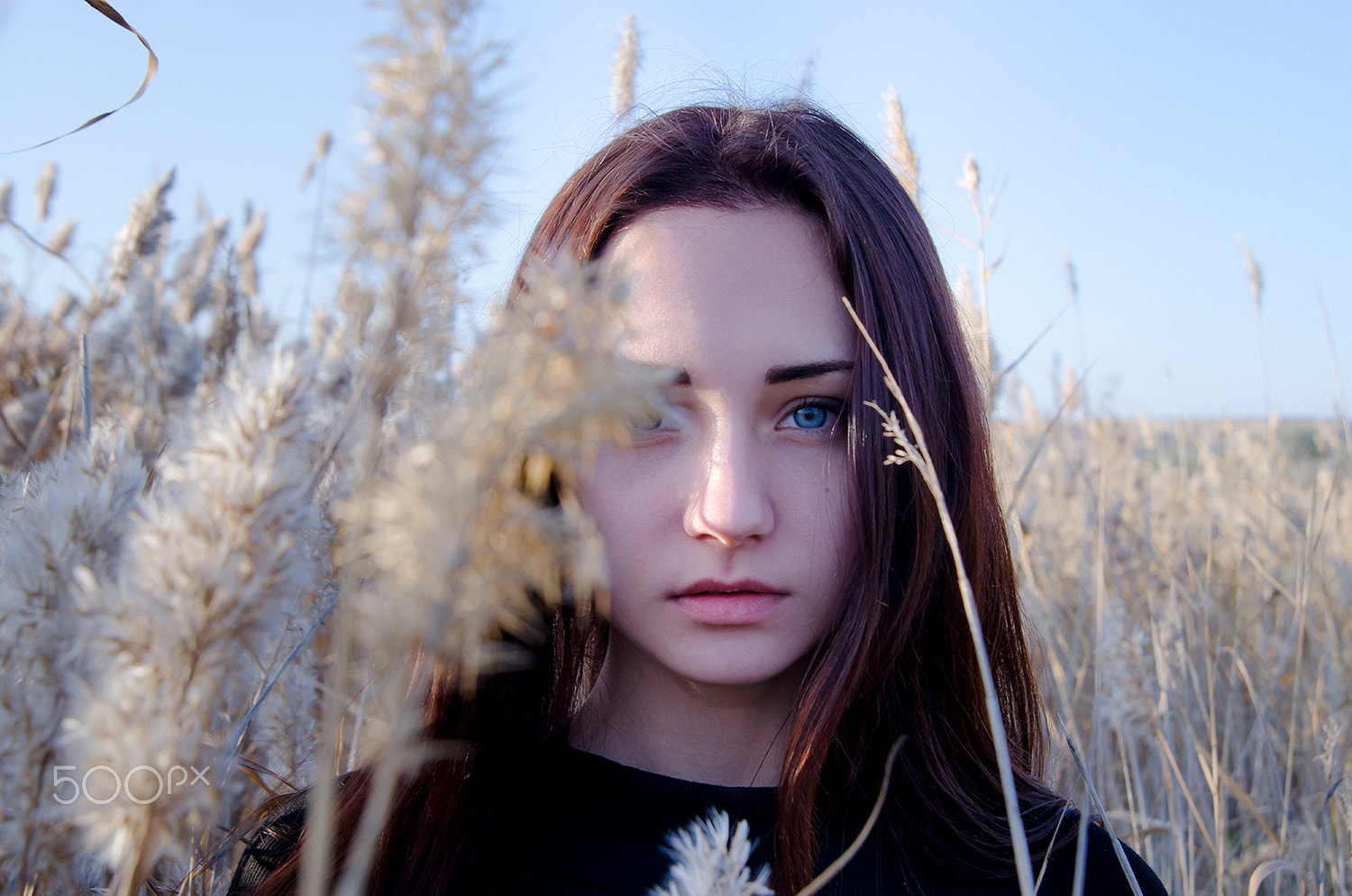 Nikon AF Nikkor 24-85mm F2.8-4D IF sample photo. Kristina photography