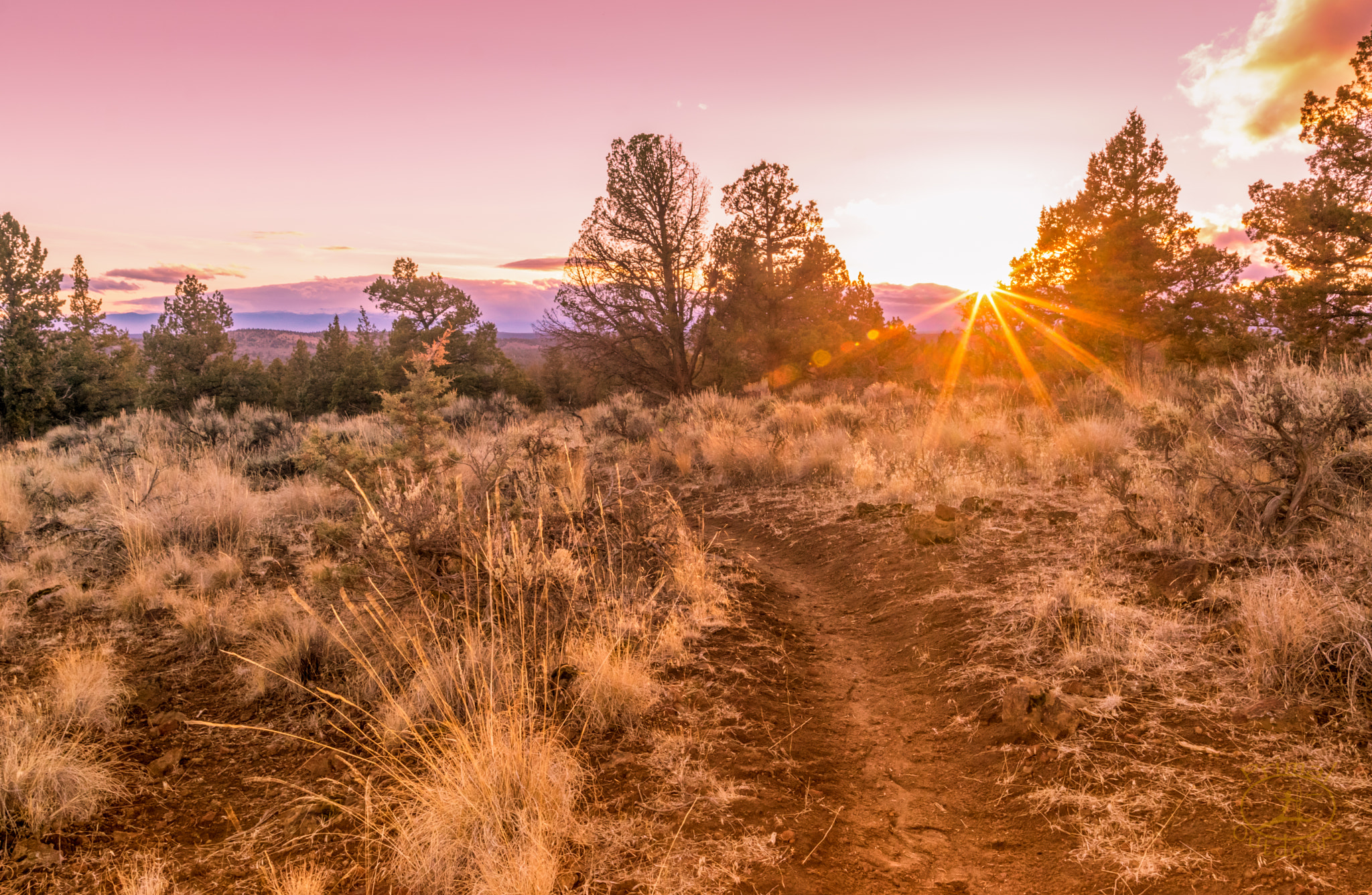 Nikon D5300 + Samyang 16mm F2 ED AS UMC CS sample photo. Sunset on the trail photography