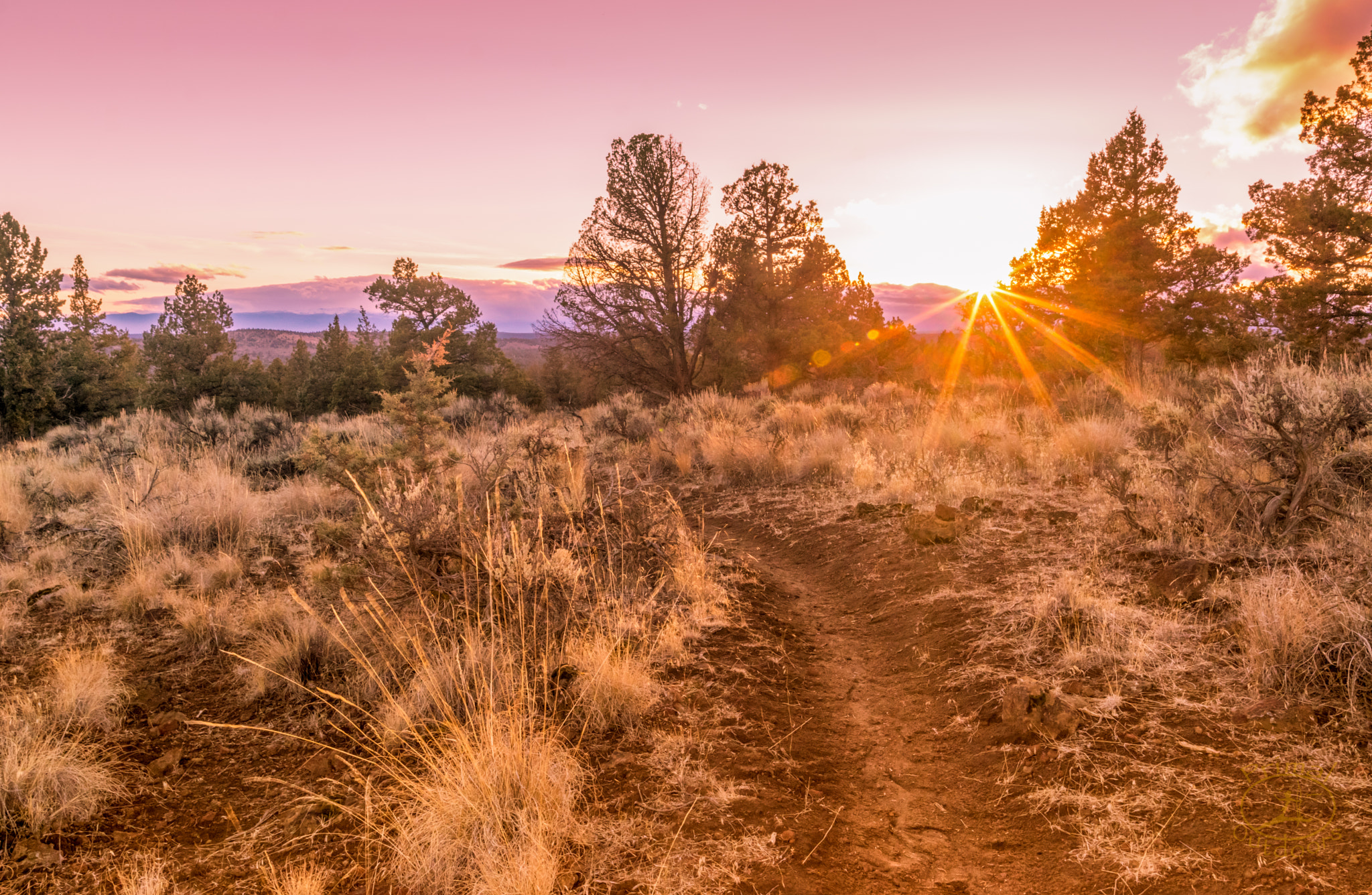 Samyang 16mm F2 ED AS UMC CS sample photo. Sunset on the trail photography