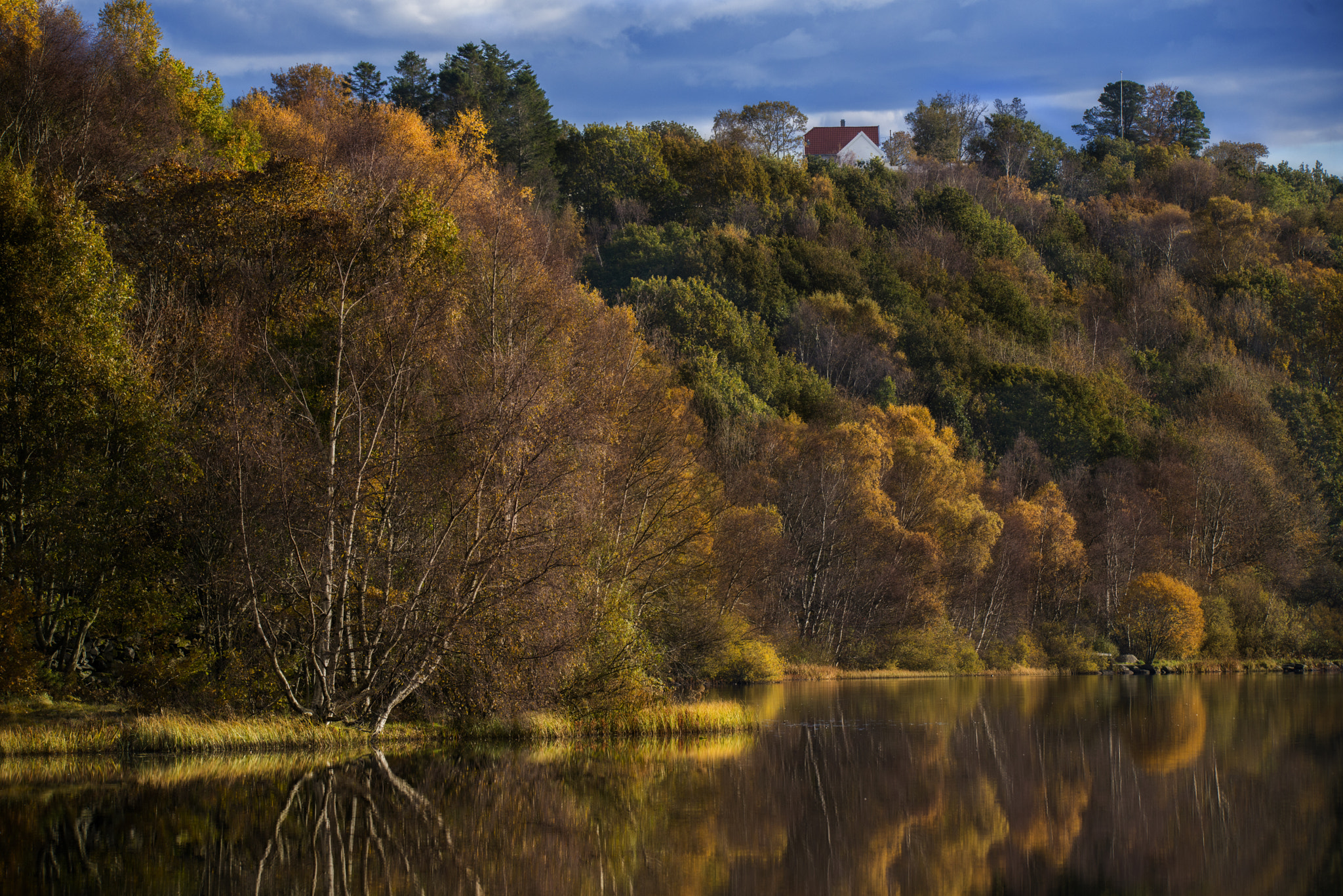 Sigma 150-600mm F5-6.3 DG OS HSM | S sample photo. Autumn in stavanger photography