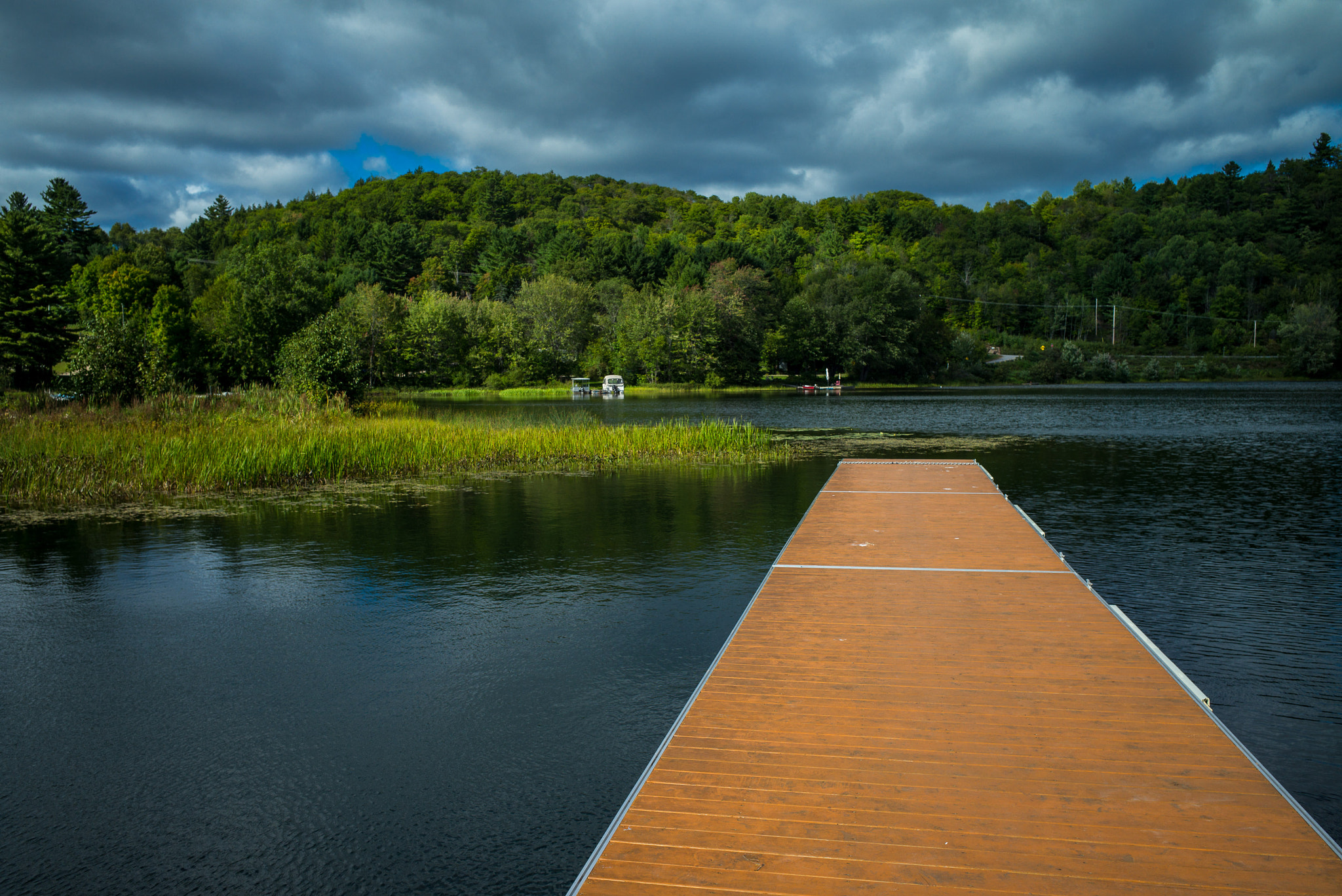 Leica Elmarit-M 28mm F2.8 ASPH sample photo. Orange before fall photography