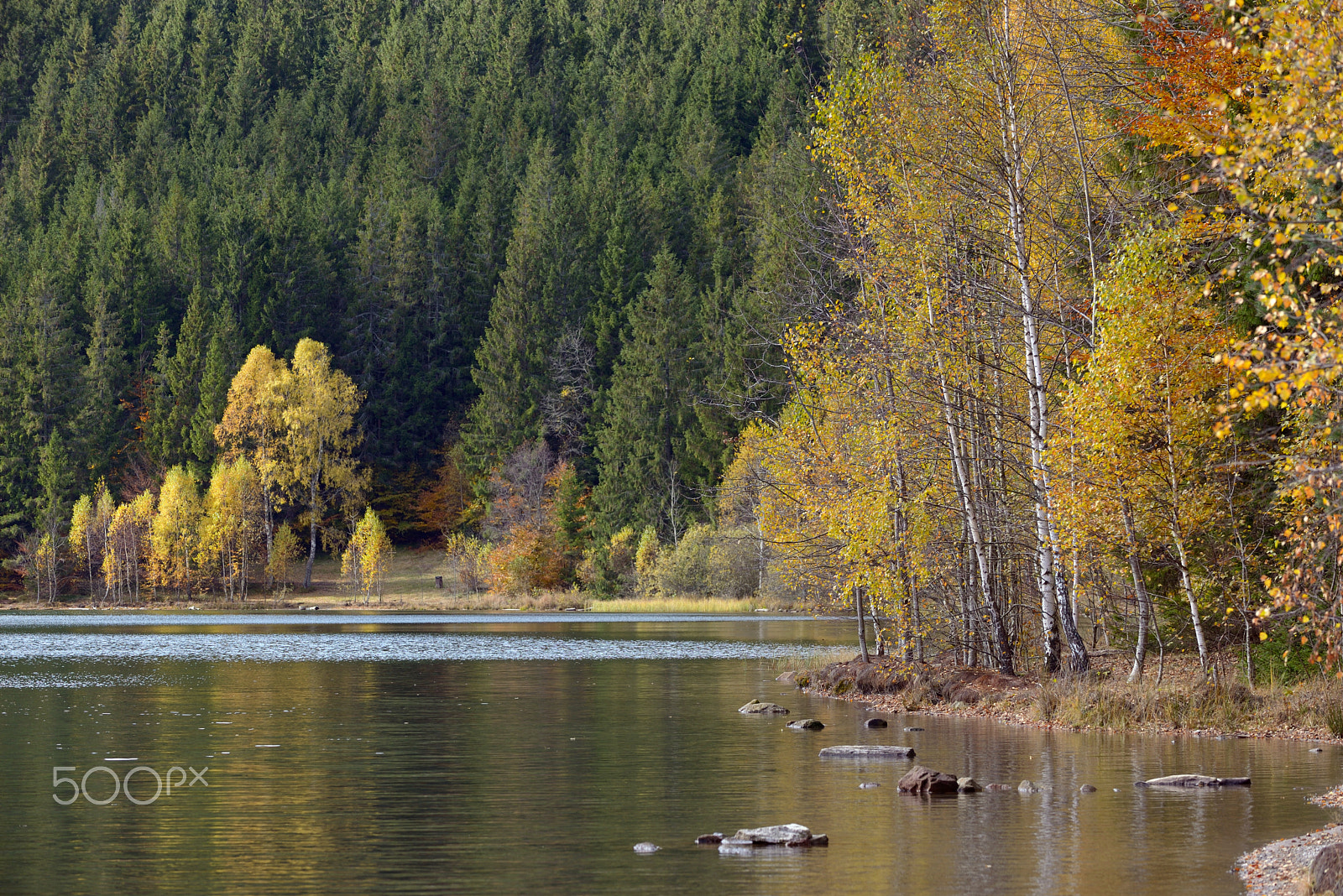 Nikon D610 + AF Nikkor 70-210mm f/4-5.6D sample photo. Beautiful fall landscape with lake photography
