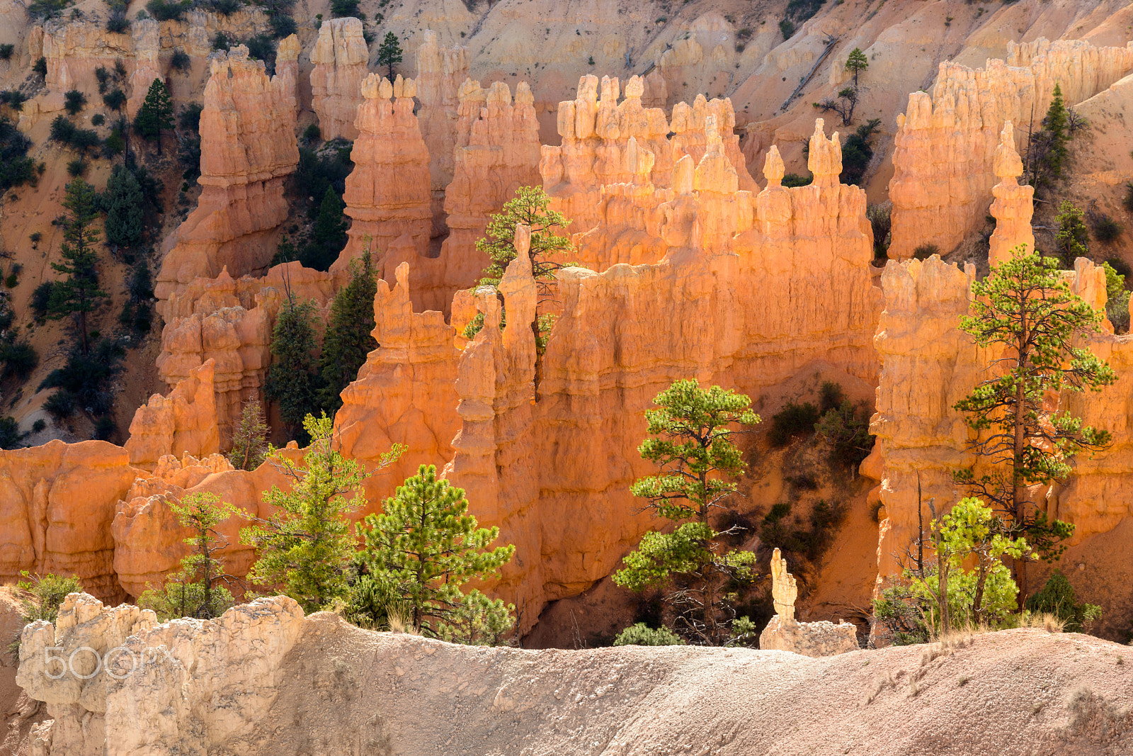 Nikon D5500 + Nikon AF-S DX Nikkor 16-80mm F2.8-4E ED VR sample photo. Evening at bryce canyon (fairyland point) photography