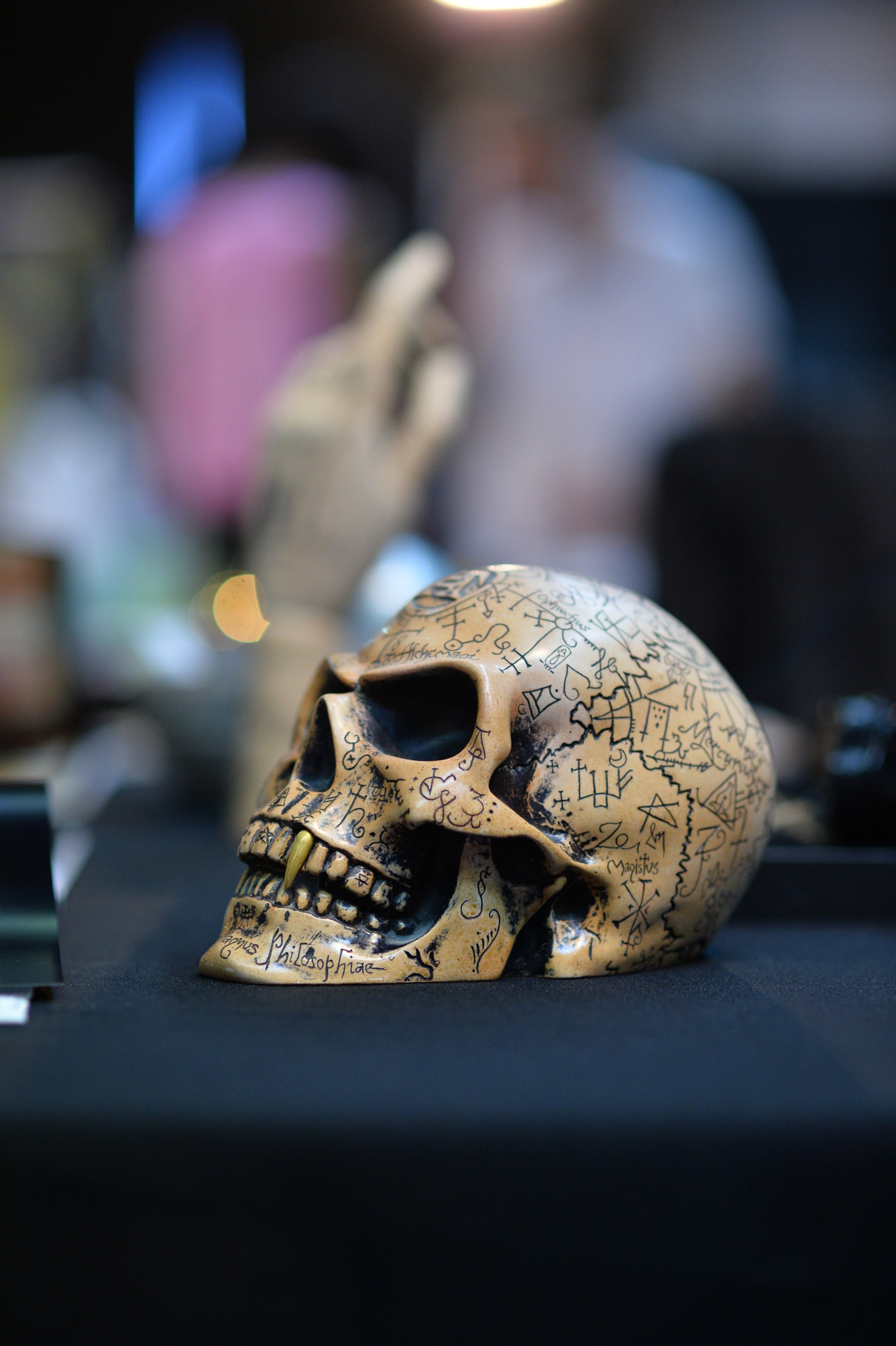 Nikon D4 + Nikon AF-S Nikkor 85mm F1.8G sample photo. Skull photography