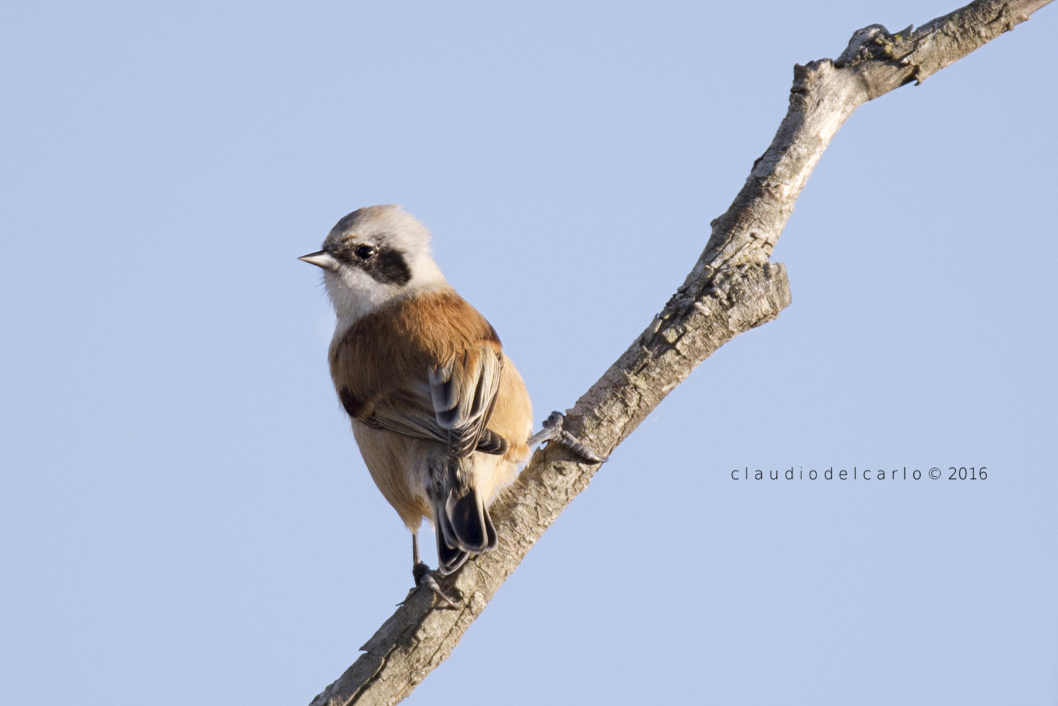 Sigma 150-600mm F5-6.3 DG OS HSM | S sample photo. Dsc photography