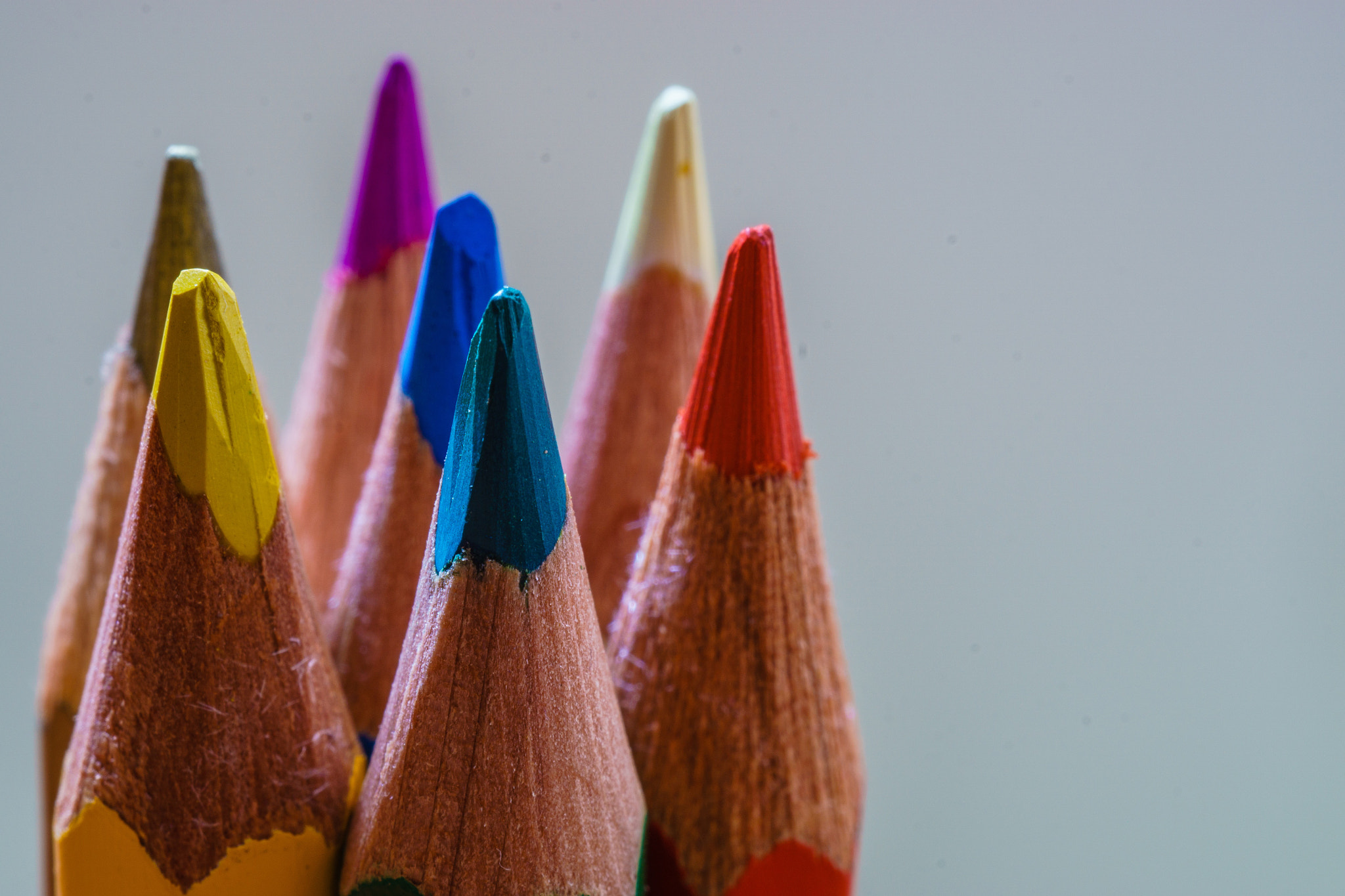 Sony FE 50mm F2.8 Macro sample photo. Color pencil photography