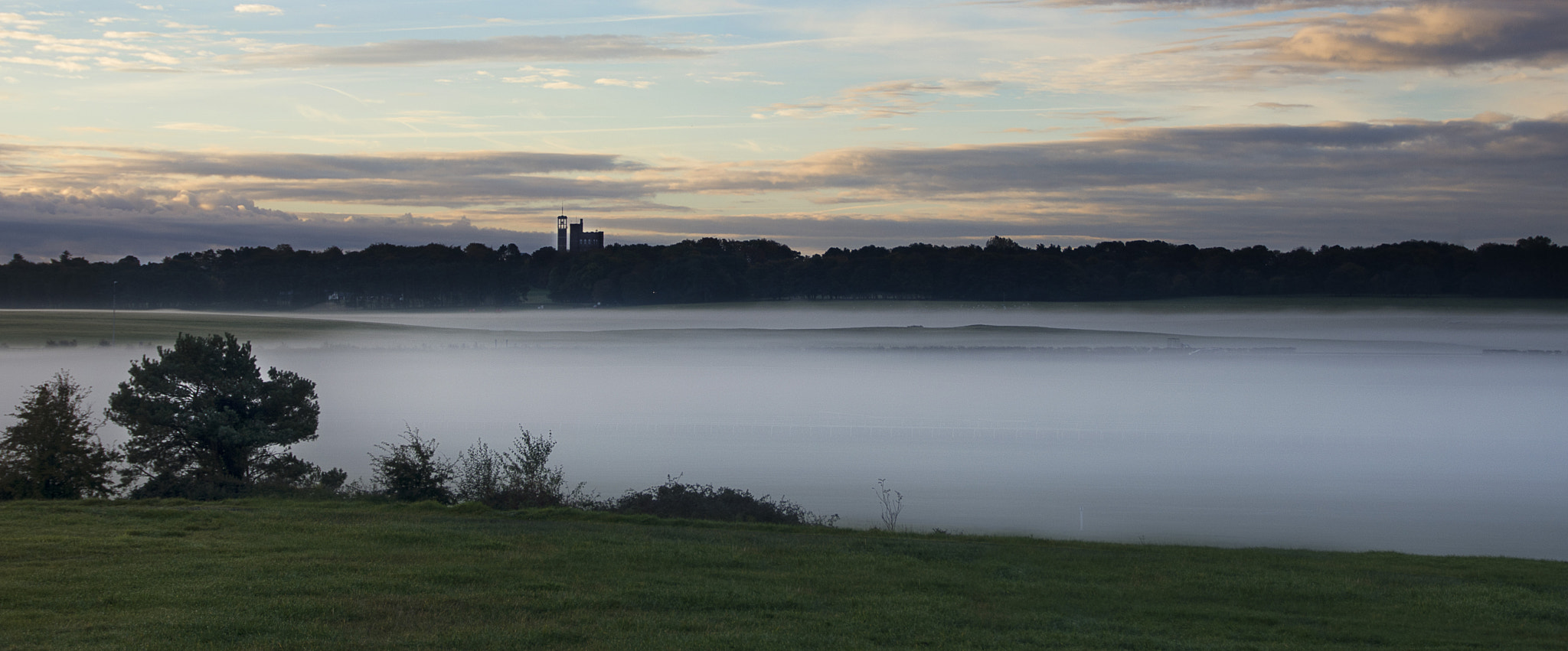 Nikon D7200 + Sigma 18-200mm F3.5-6.3 II DC OS HSM sample photo. Foggy morning on the curragh photography