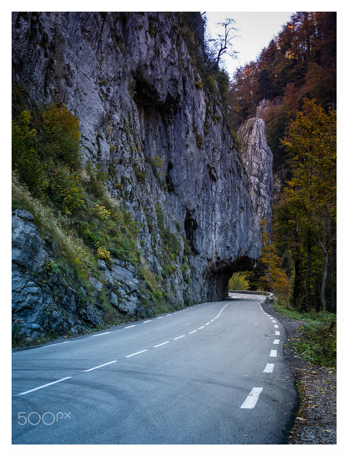 Olympus OM-D E-M10 II sample photo. Route du désert photography