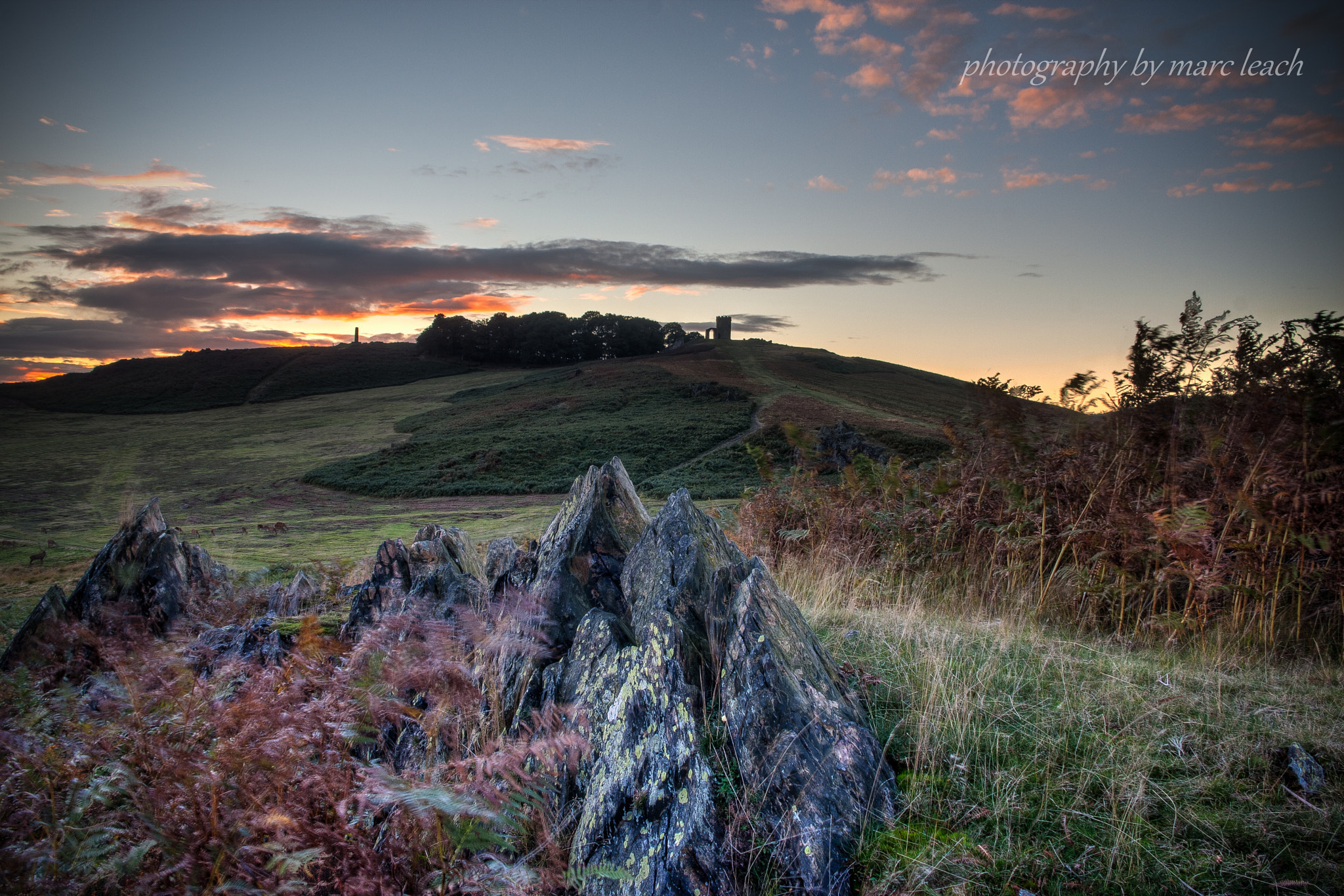 Sigma 18-50mm f/3.5-5.6 DC sample photo. Bradgate autumn sunset  photography