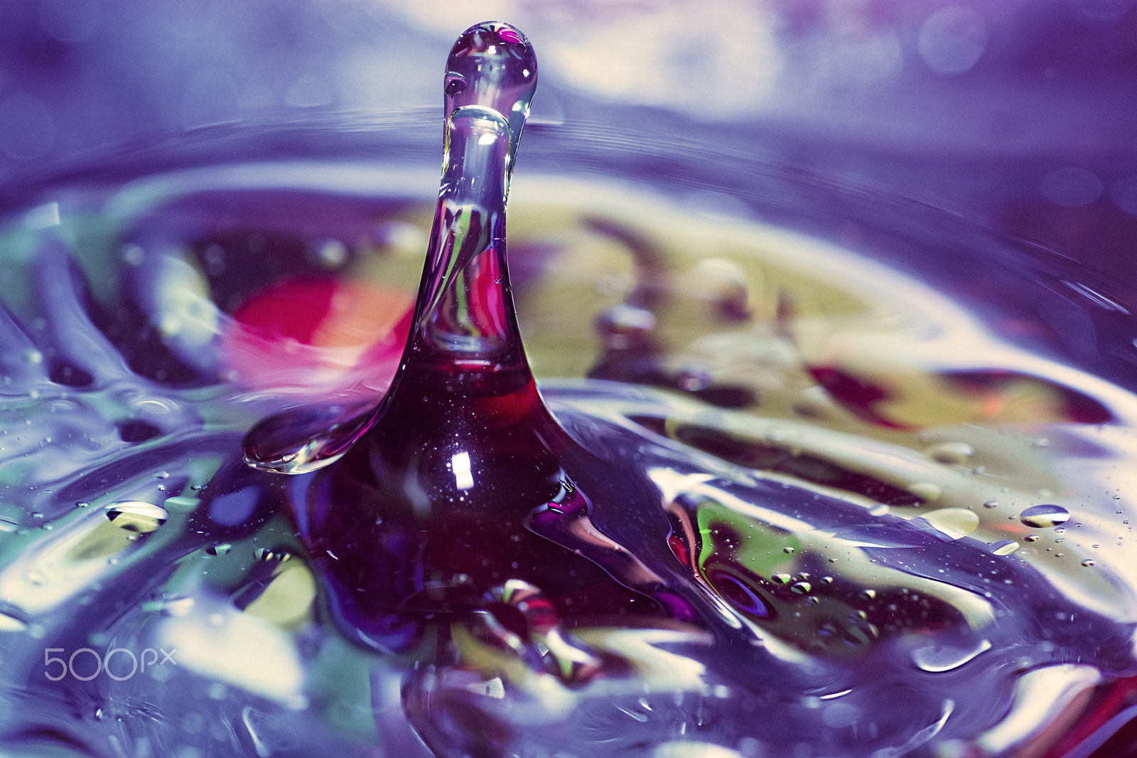 Nikon AF-S DX Micro Nikkor 40mm F2.8 sample photo. Dripping animated photography