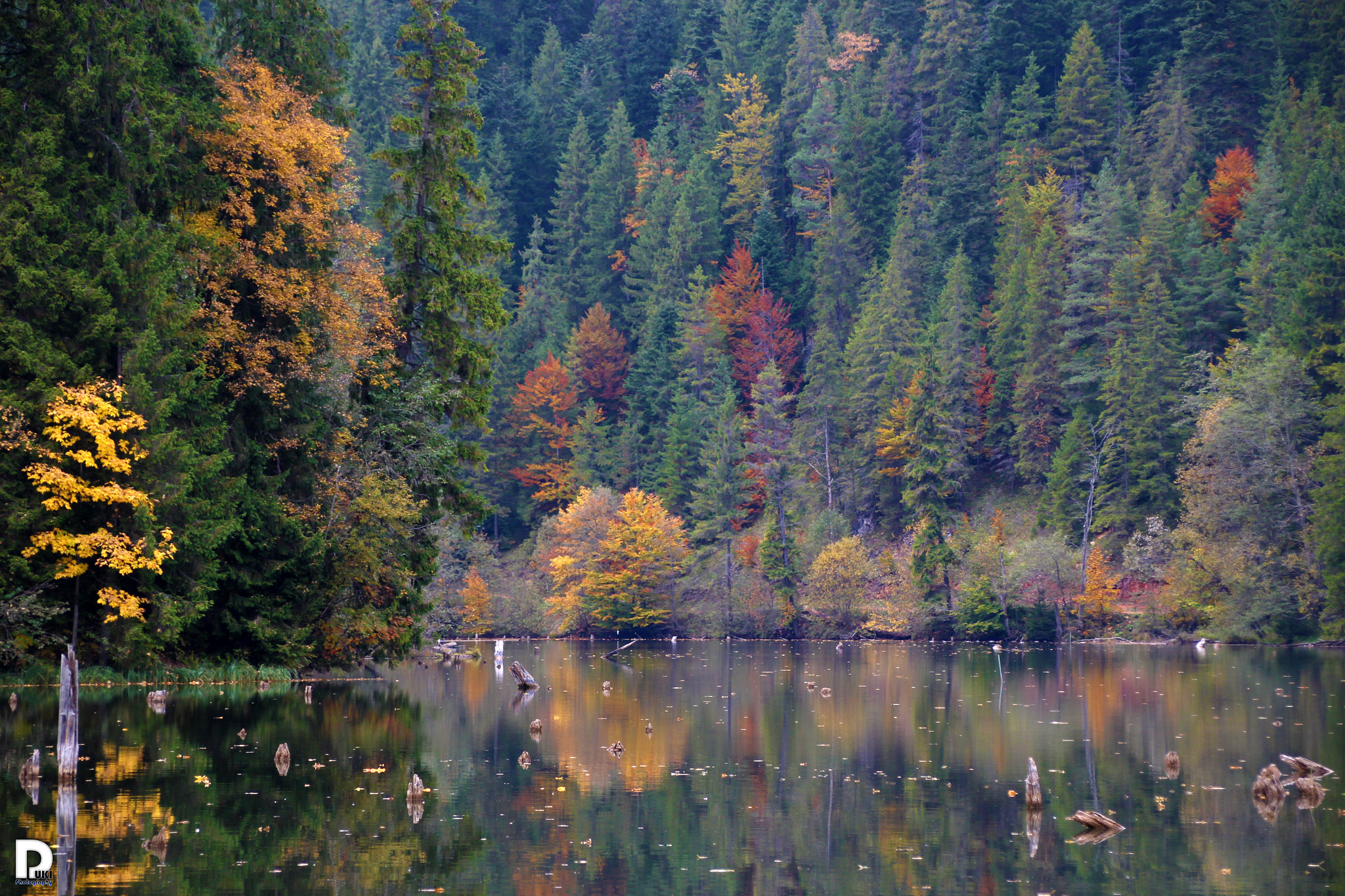 Canon EOS 100D (EOS Rebel SL1 / EOS Kiss X7) + Canon TS-E 90mm F2.8 Tilt-Shift sample photo. Red lake photography