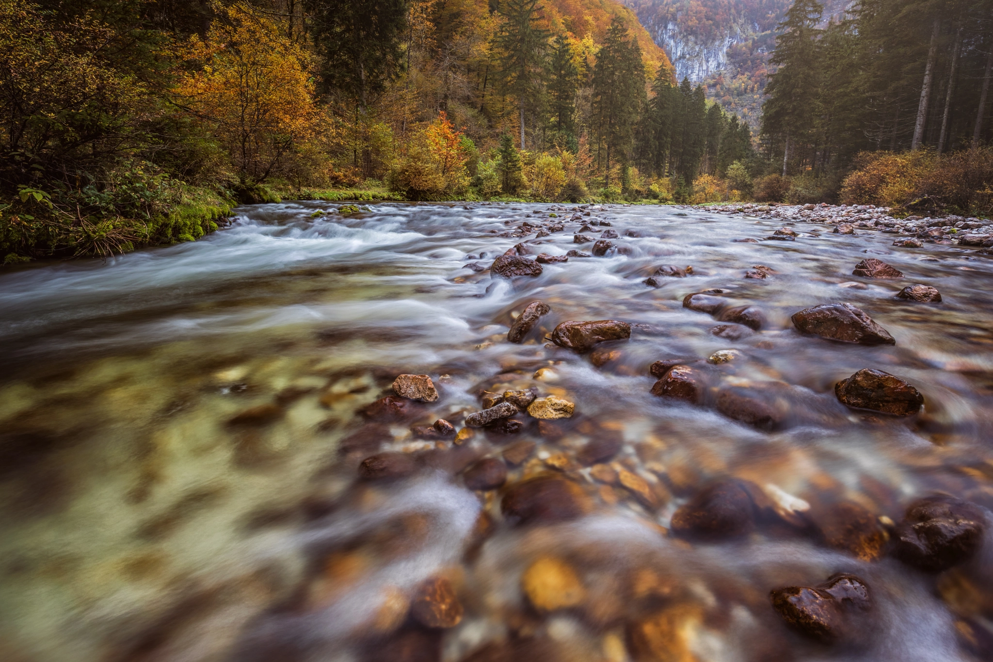 Canon EF 300mm f/2.8L sample photo. Autumn iii photography
