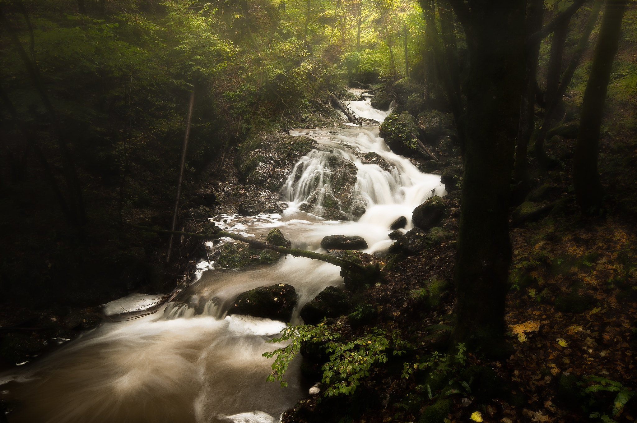 Sigma AF 10-20mm F4-5.6 EX DC sample photo. Going upstream photography