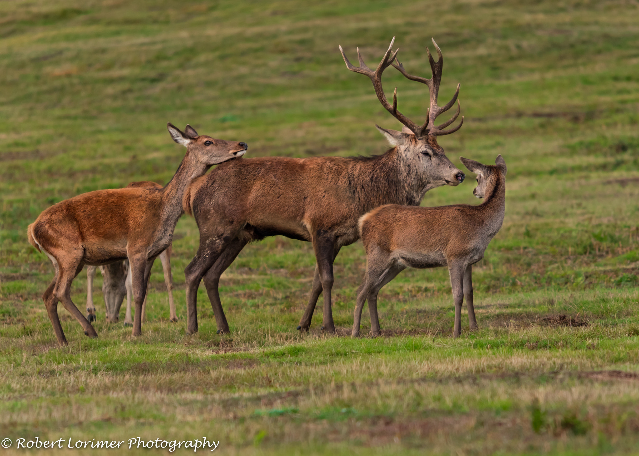 Nikon D750 + Sigma 150-500mm F5-6.3 DG OS HSM sample photo