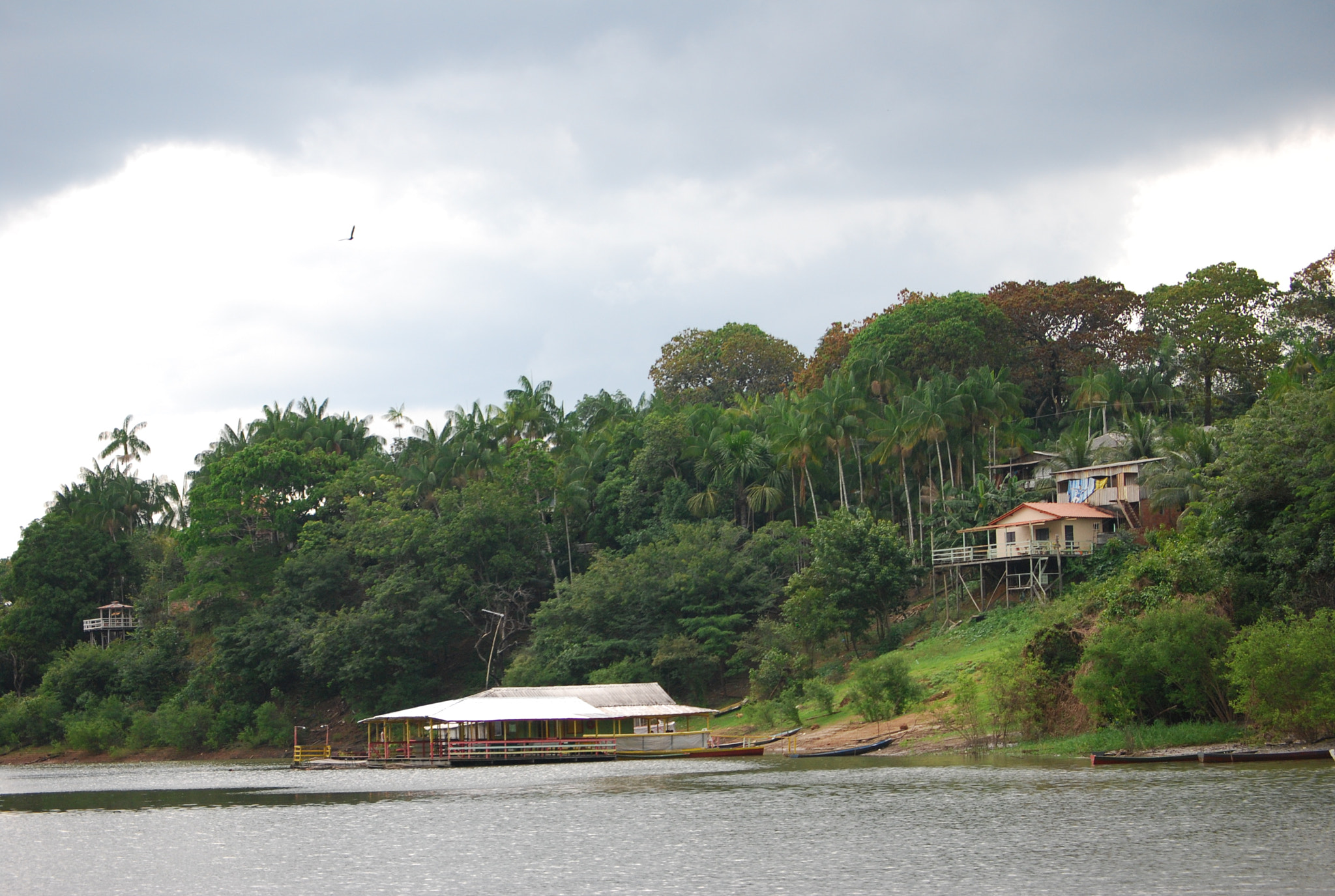 Nikon D40X sample photo. It's about to rain..  photography