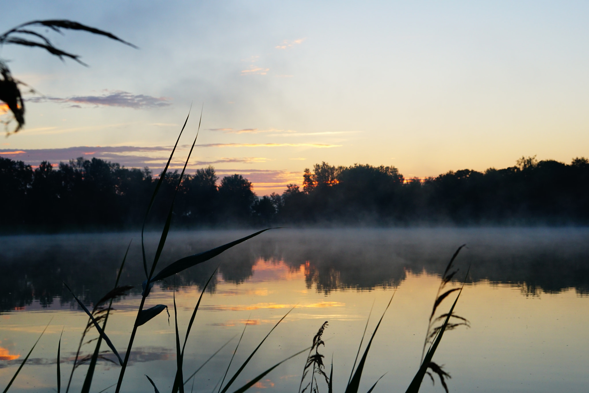 Sony E 18-200mm F3.5-6.3 OSS sample photo. Early morning photography