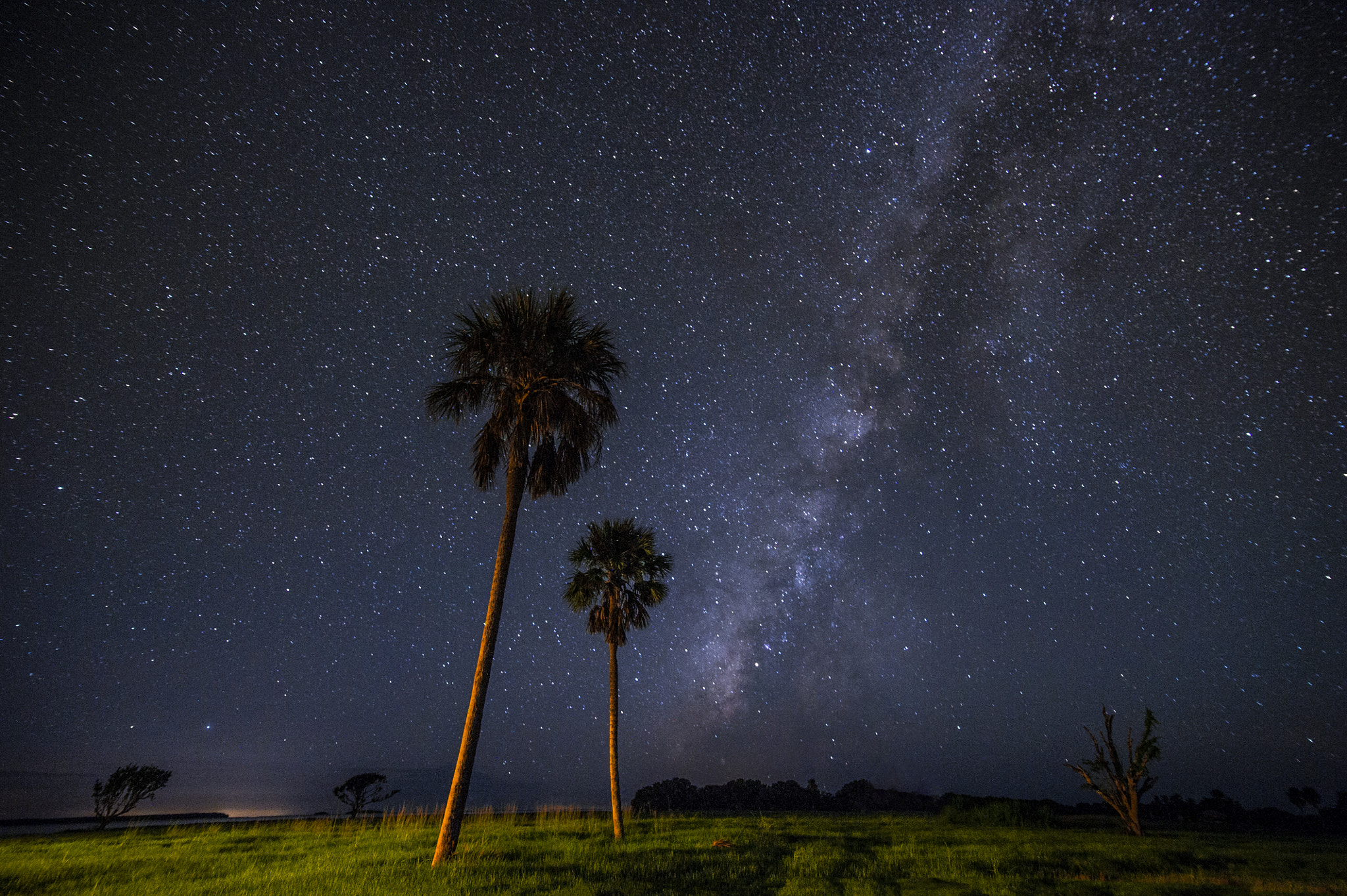 Nikon D3S + Tokina AT-X 17-35mm F4 Pro FX sample photo. Everglades photography