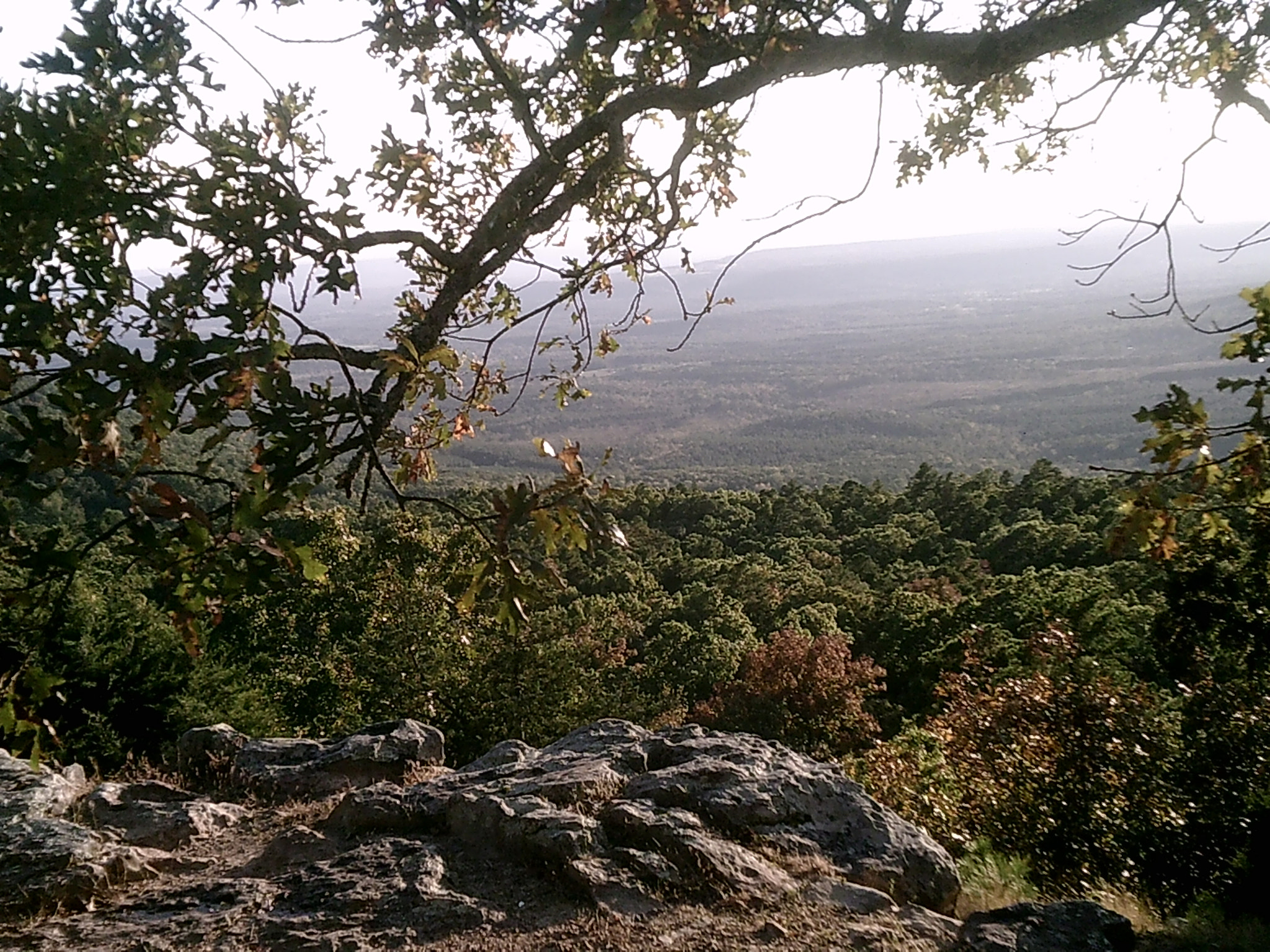 Icatch Spca1628 sample photo. Mount nebo's glory 1 photography