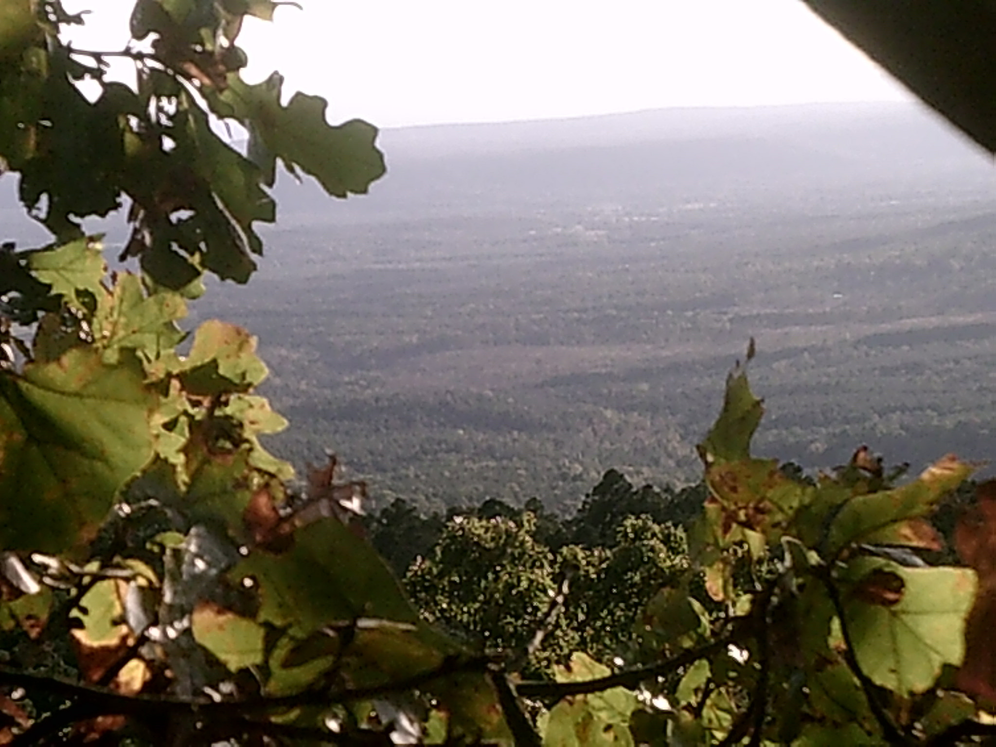 Icatch Spca1628 sample photo. Mount nebo's glory 2 photography