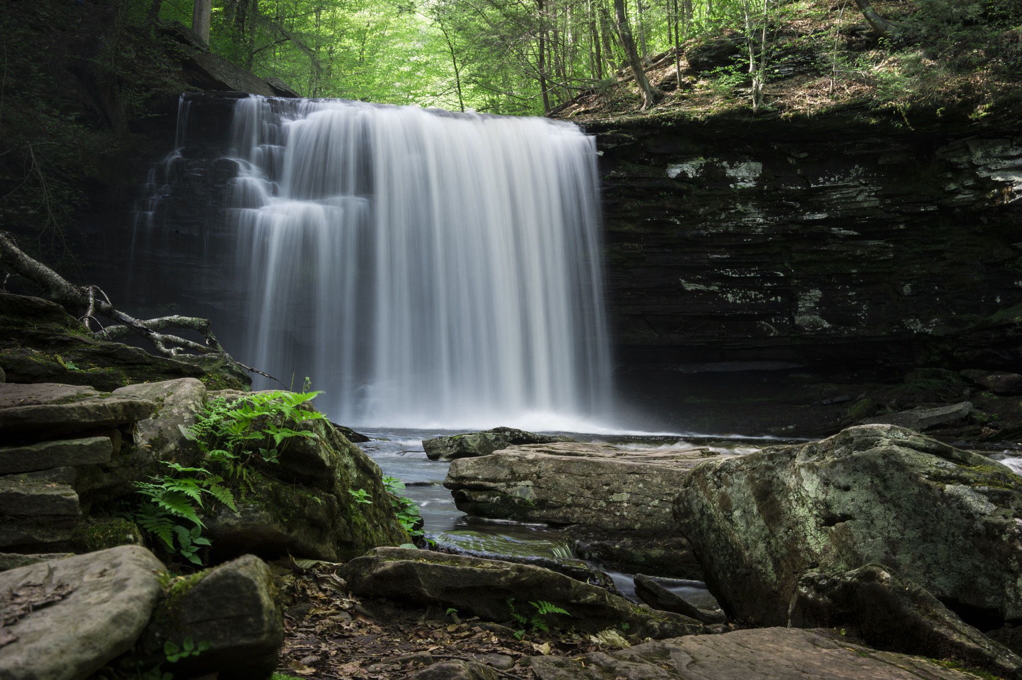 Nikon D3S sample photo. Ricketts glen state park, pa photography