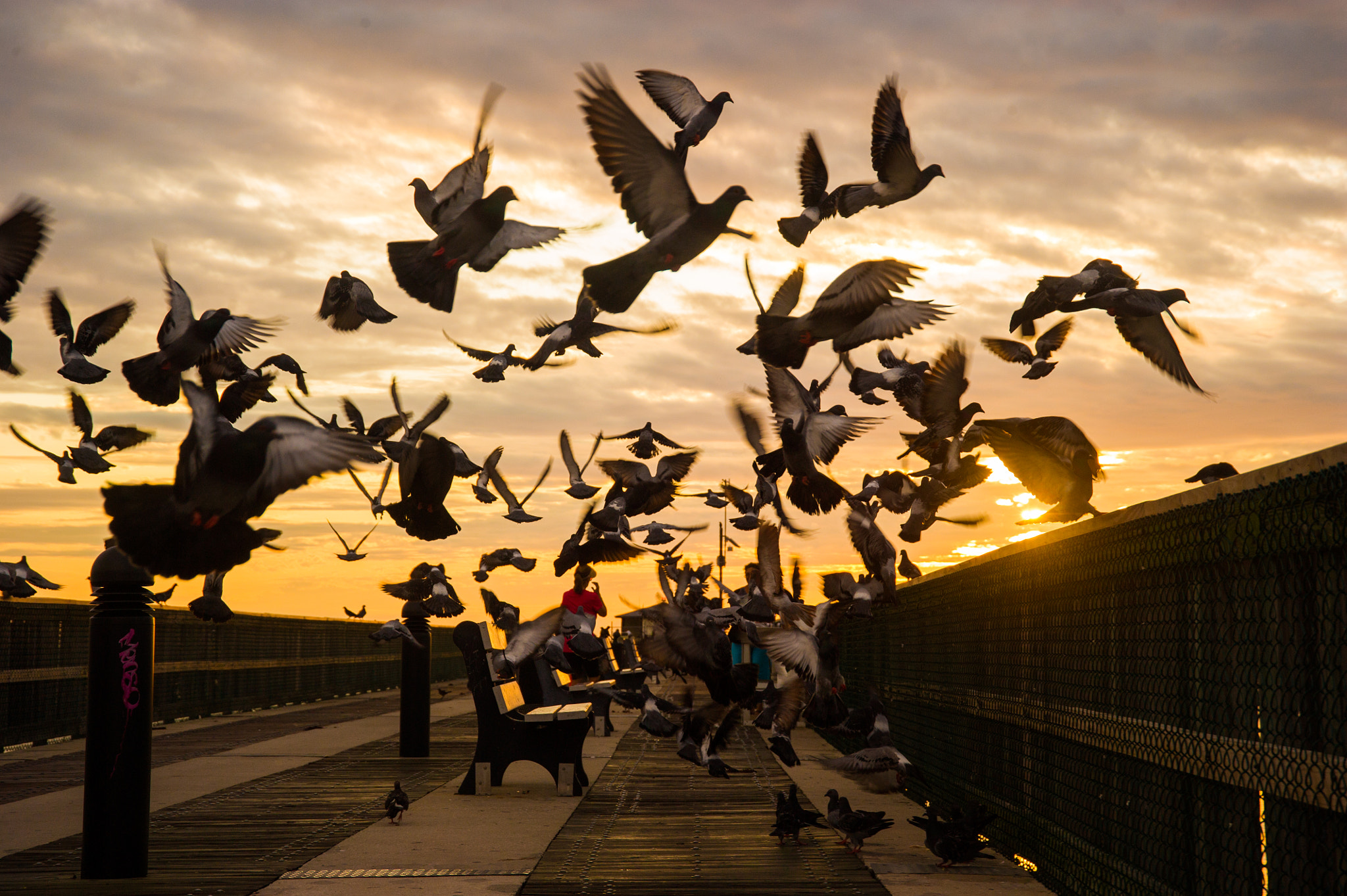 Nikon D3S sample photo. Pompano pier photography