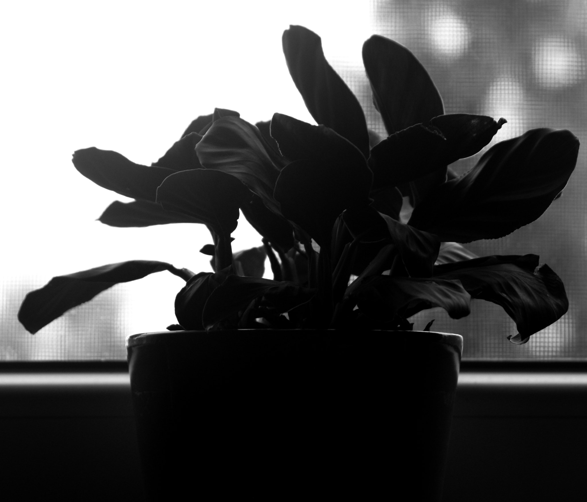 Canon EF 24-85mm F3.5-4.5 USM sample photo. New lens! photography