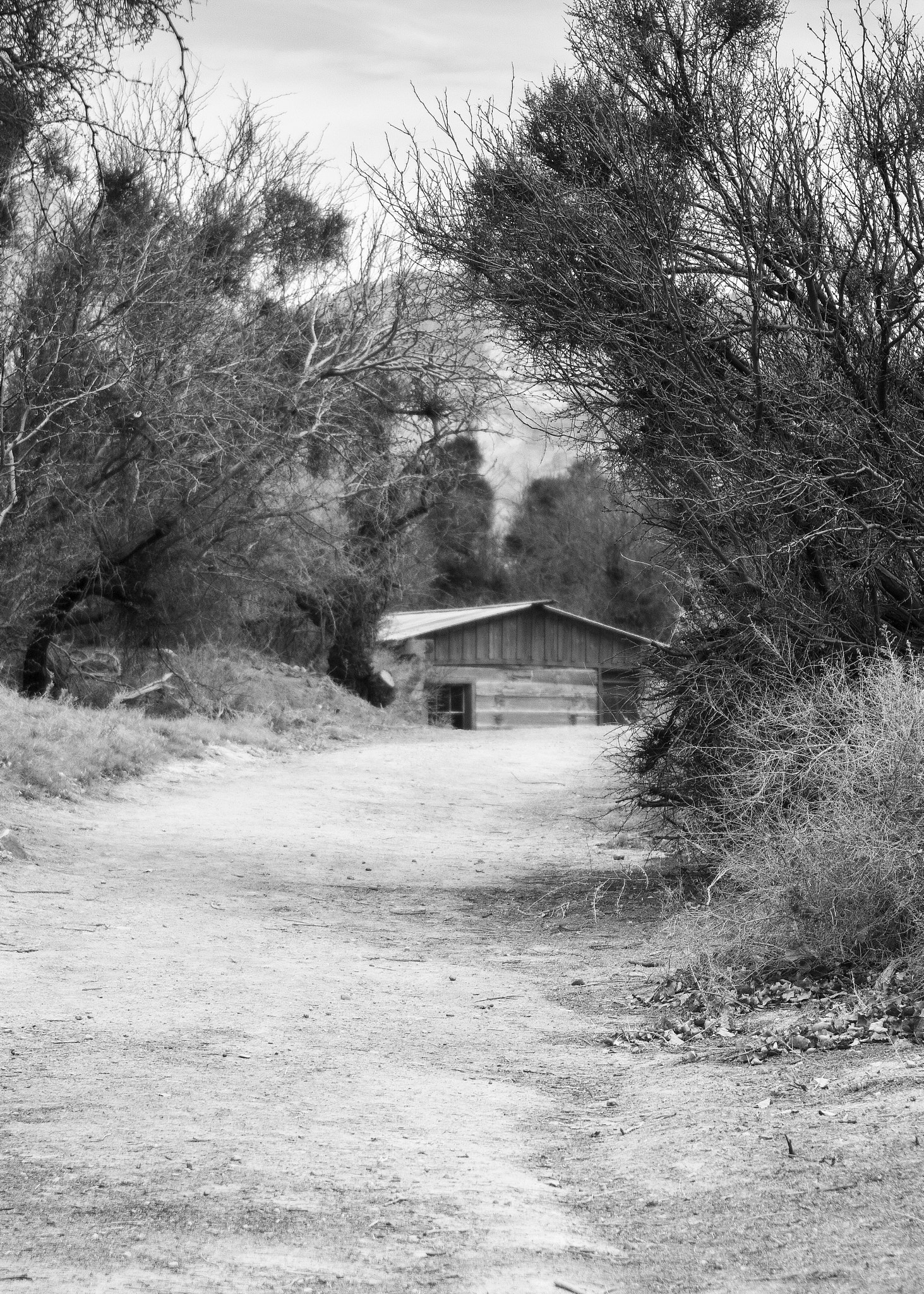 EF28-70mm f/2.8L USM sample photo. Distant cabin photography