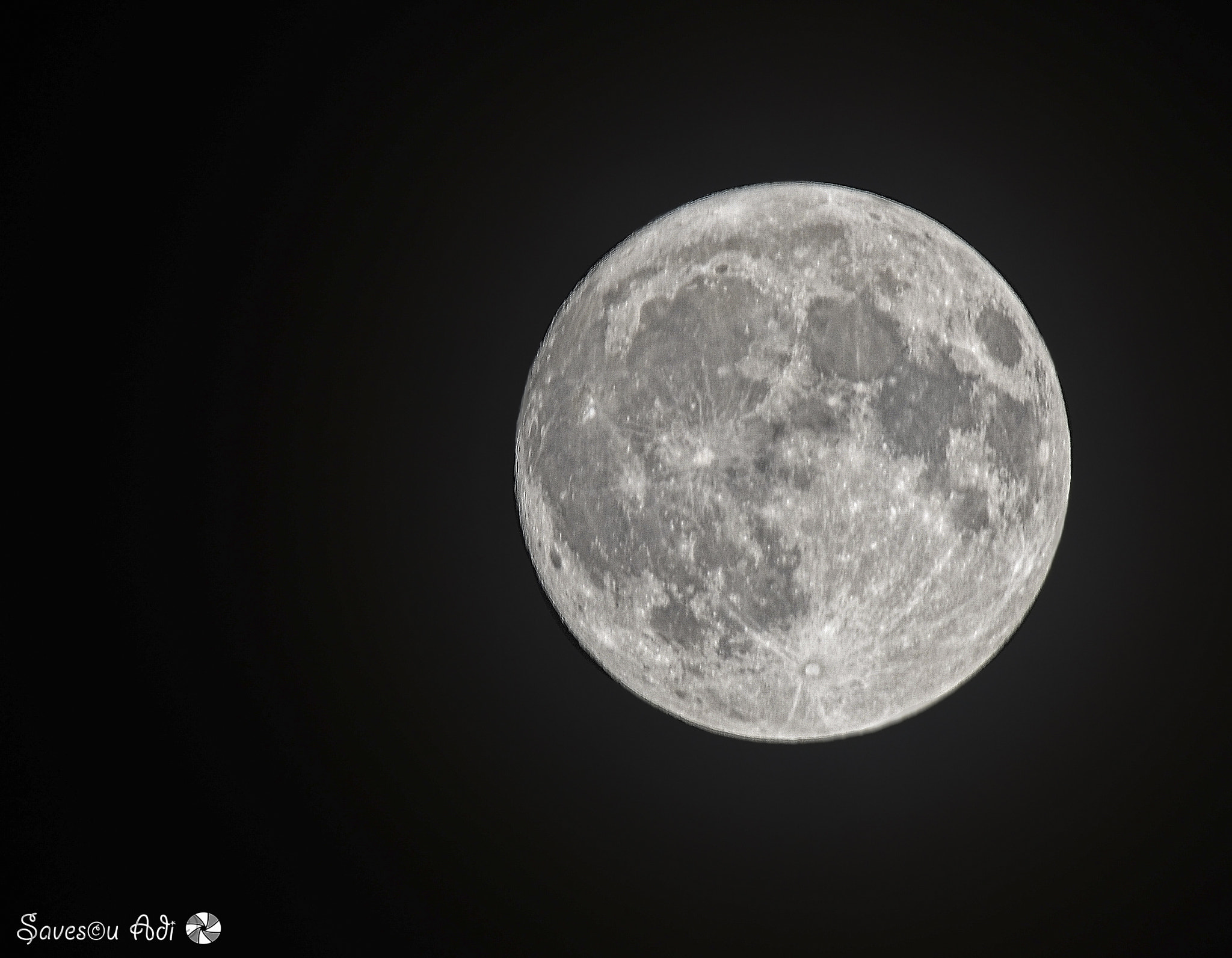 Sigma 150-600mm F5-6.3 DG OS HSM | C sample photo. Luna photography