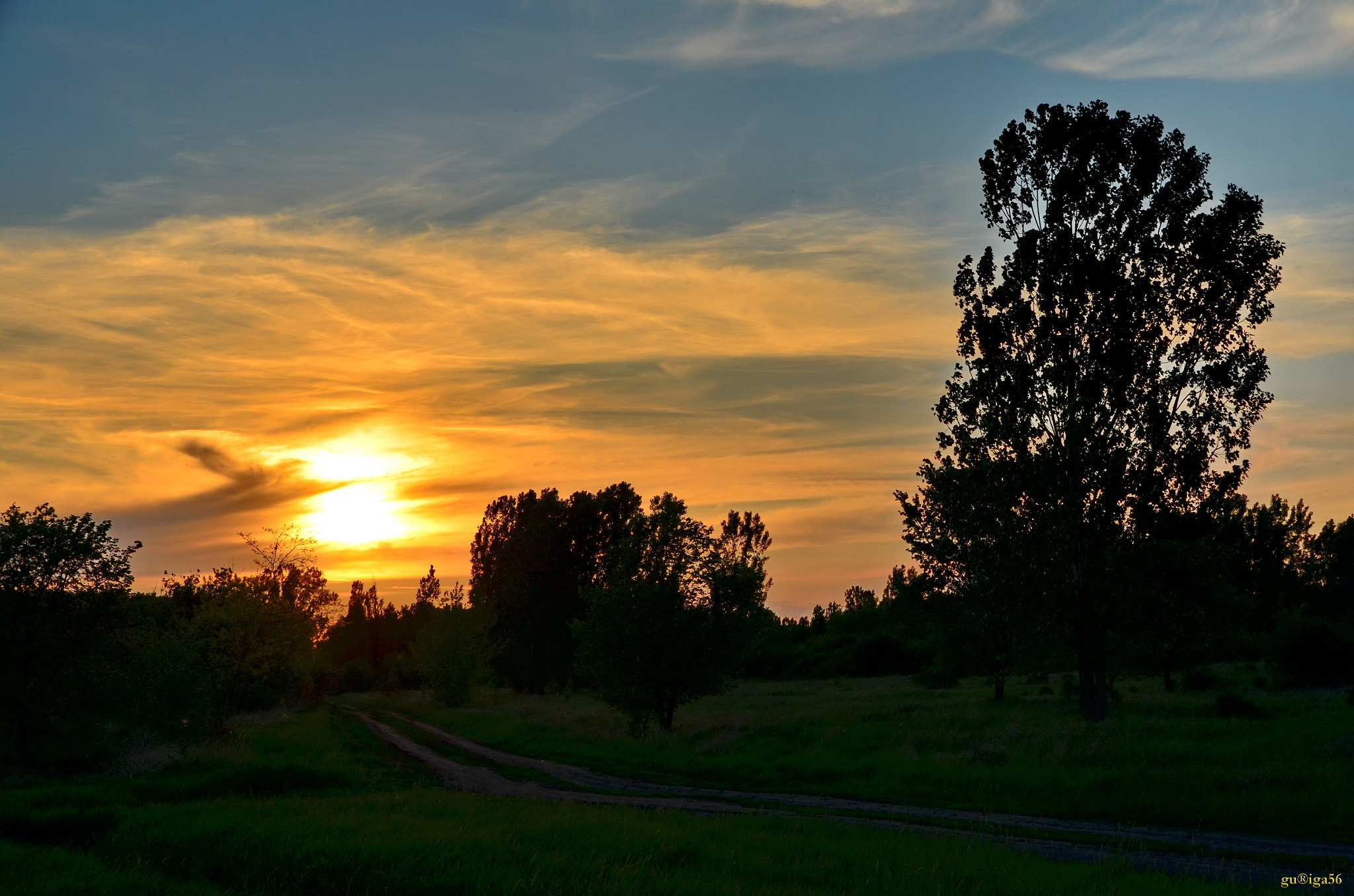 Nikon D5100 + Sigma 18-250mm F3.5-6.3 DC OS HSM sample photo. Hazavezető út / way home photography