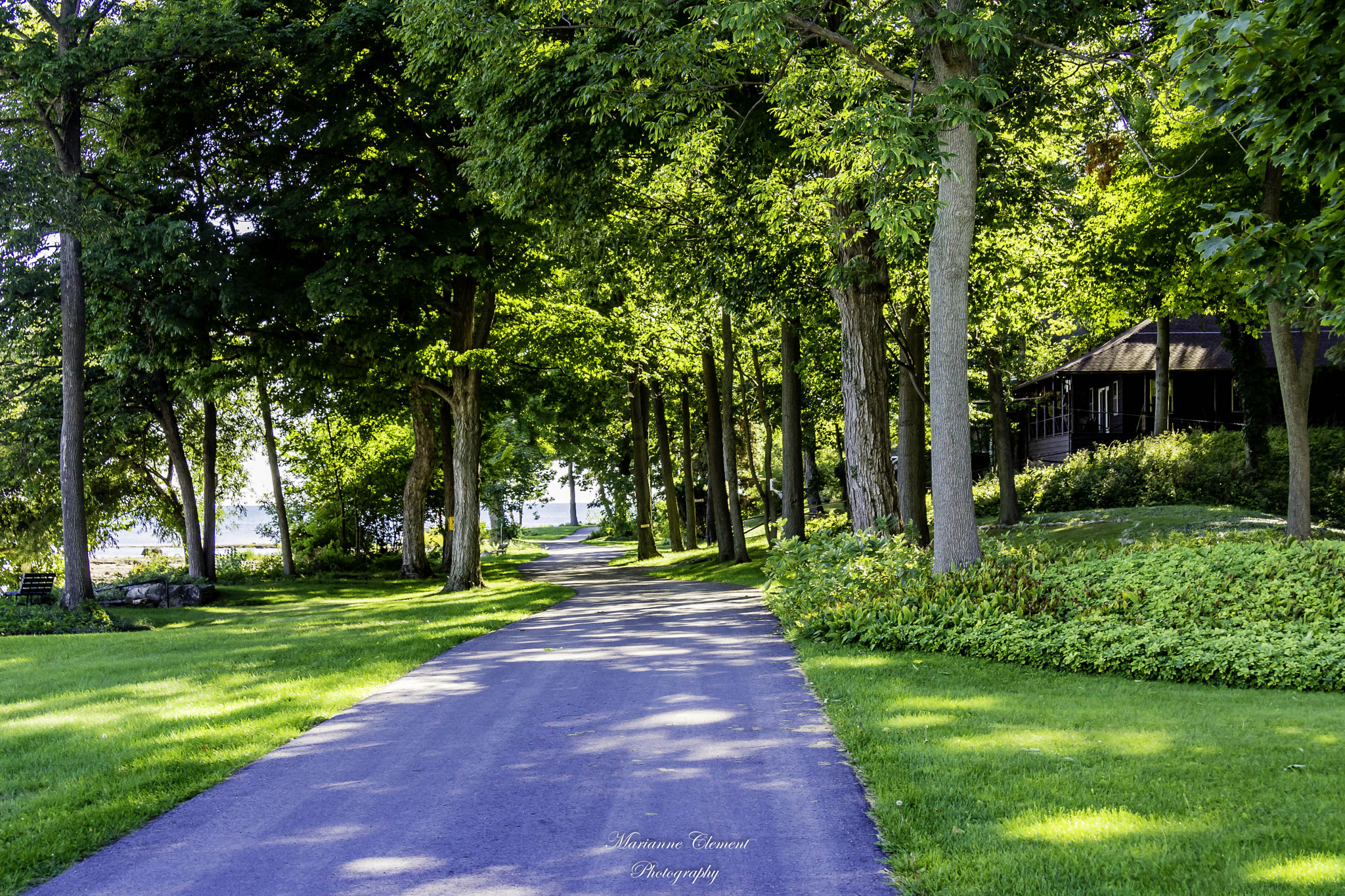 Canon EF-S 17-85mm F4-5.6 IS USM sample photo. The path to lake erie photography