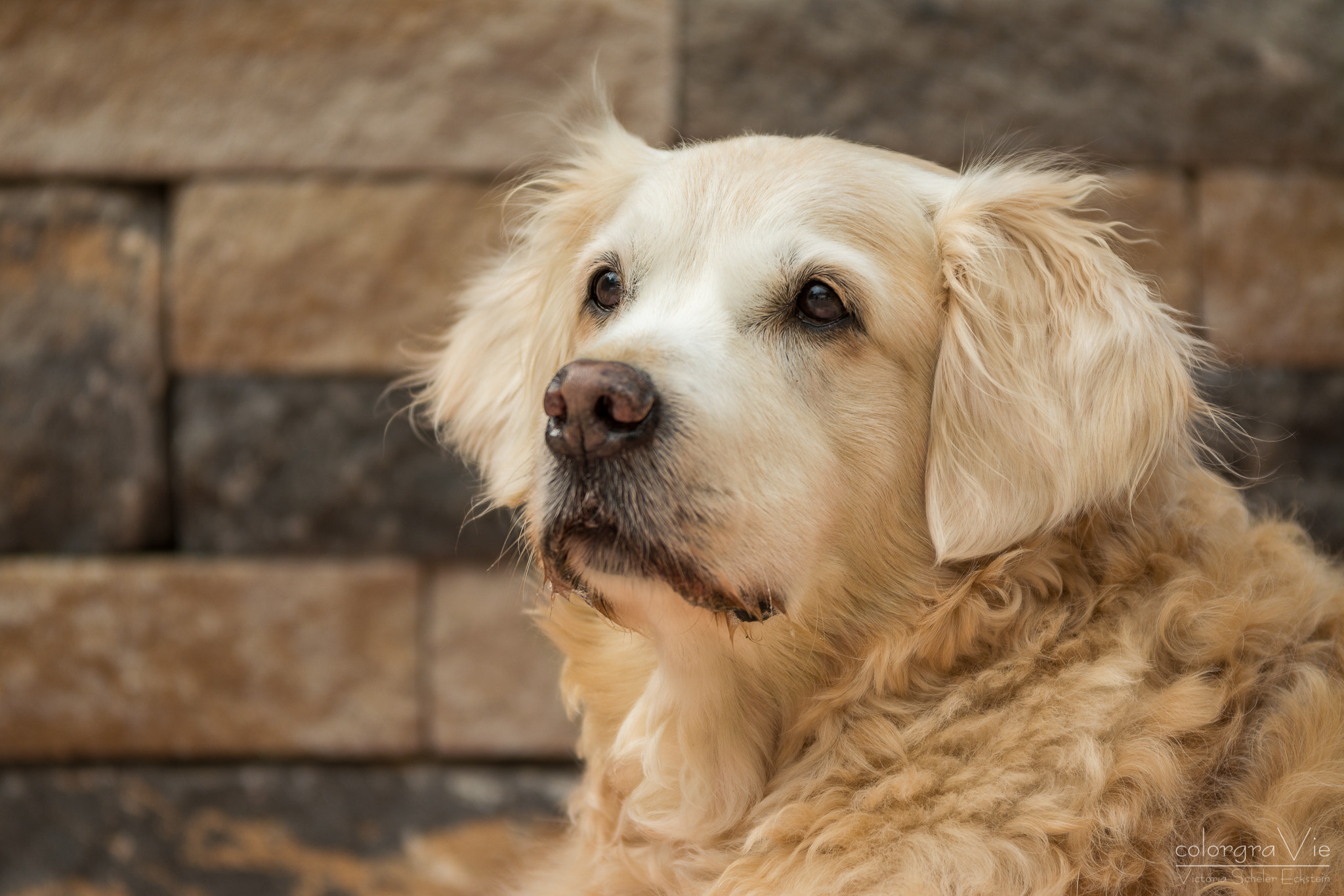 Sigma 70-200mm F2.8 EX DG OS HSM sample photo. Sammy iv photography
